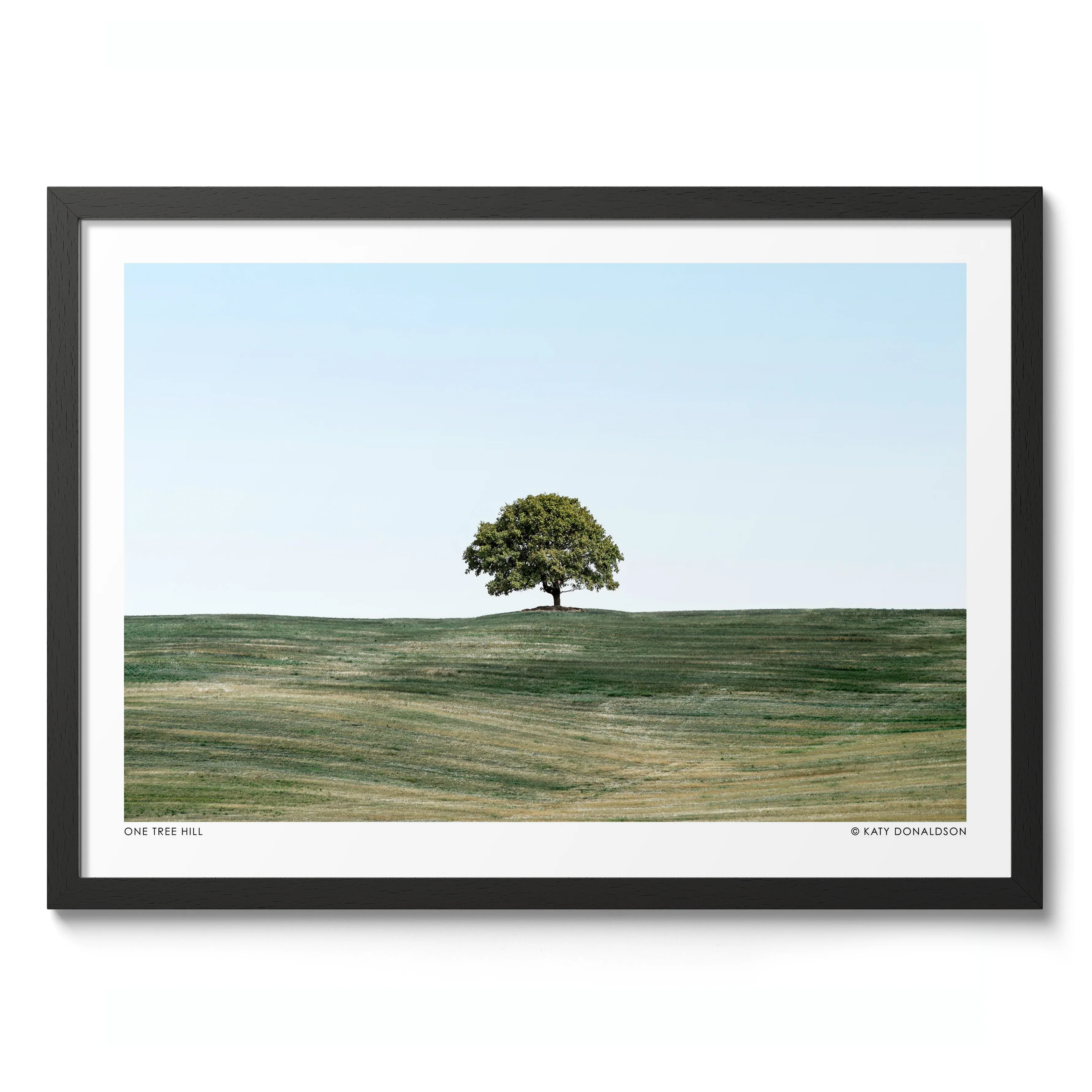 One Tree Hill Landscape - Image 2
