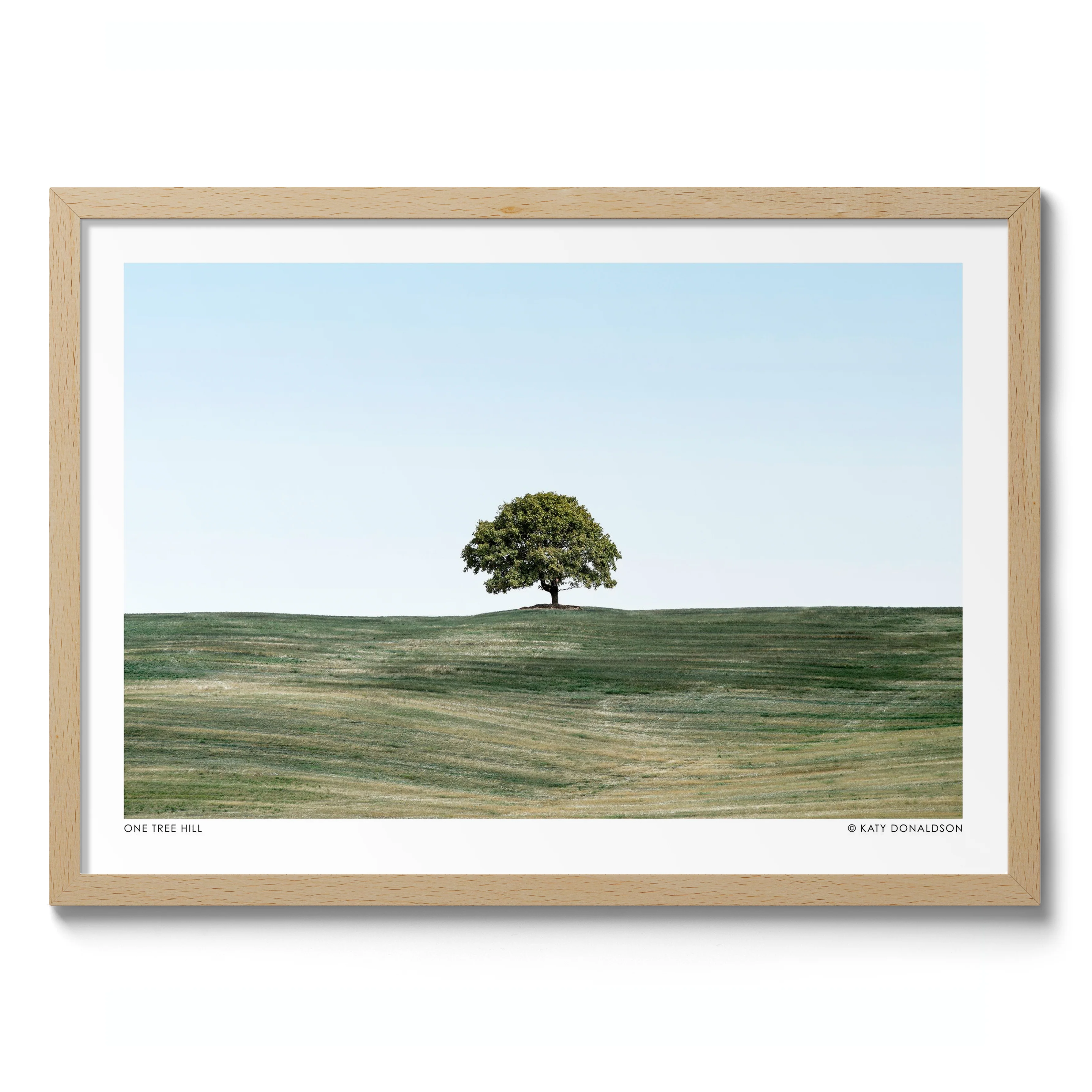 One Tree Hill Landscape - Image 3