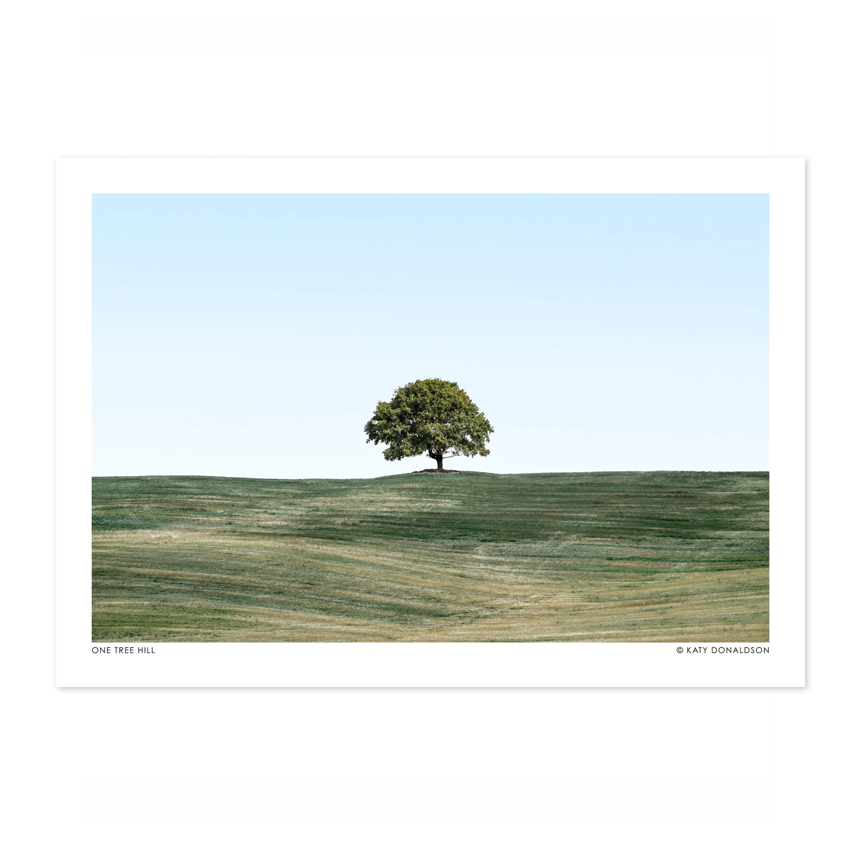 One Tree Hill Landscape - Image 4