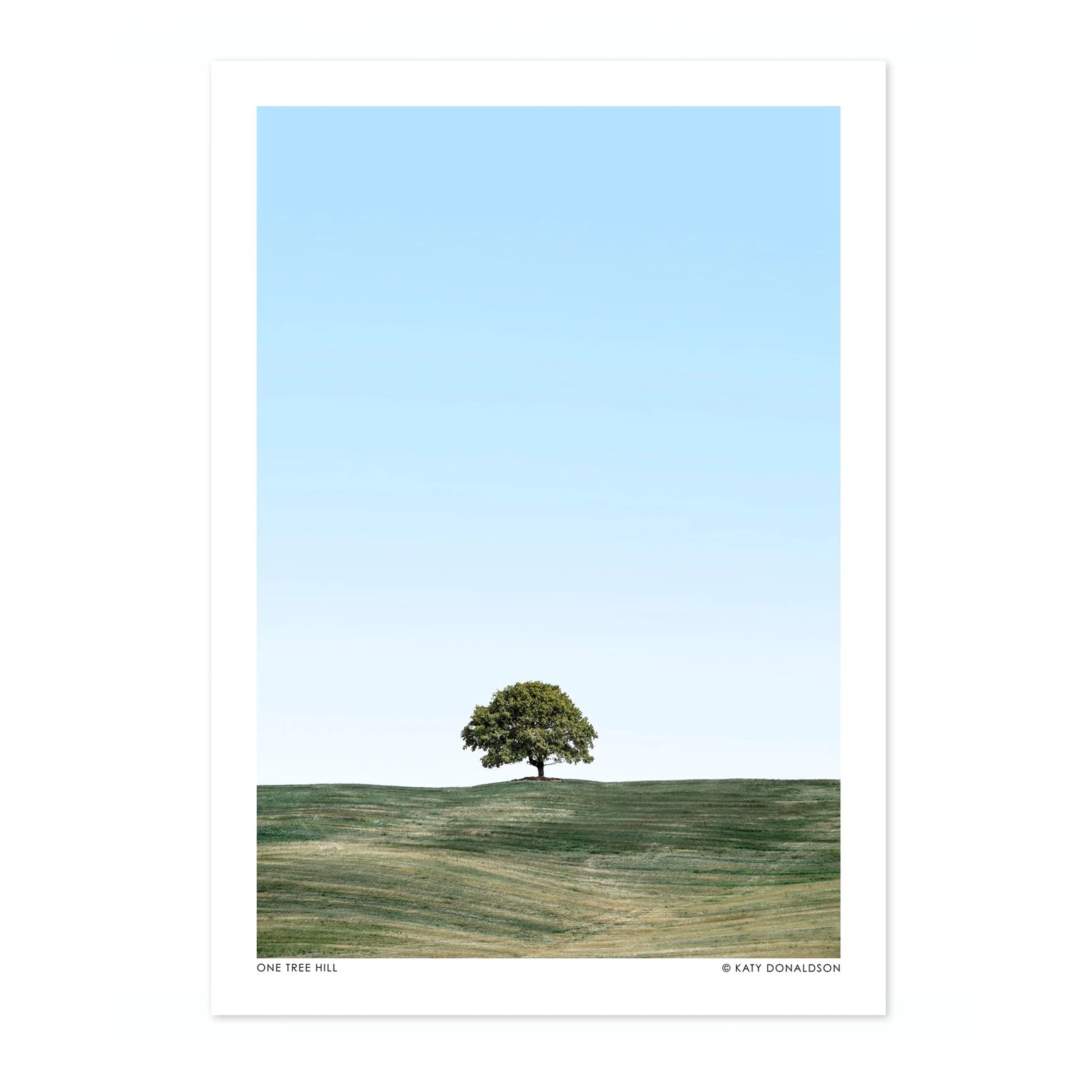 One Tree Hill Portrait - Image 4