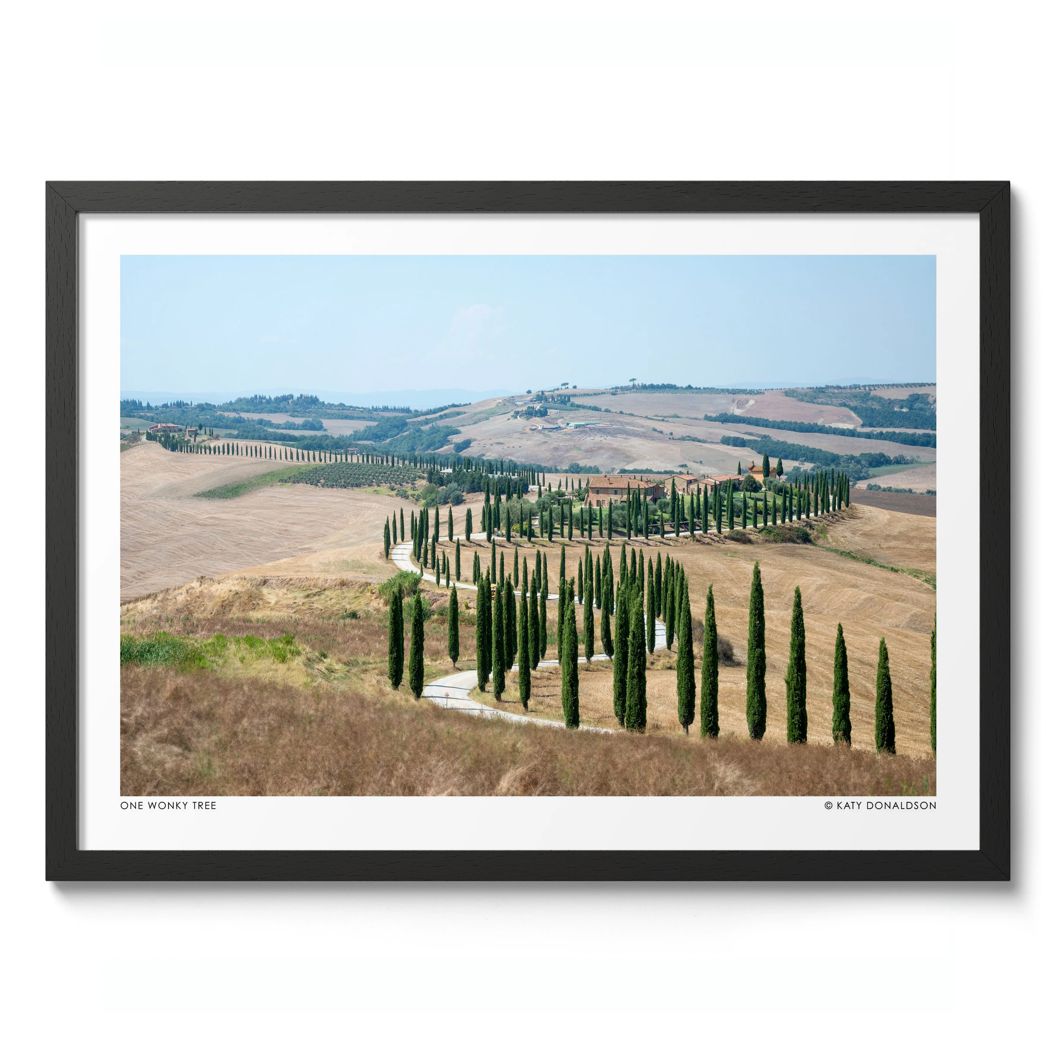 One Wonky Tree Landscape - Image 2