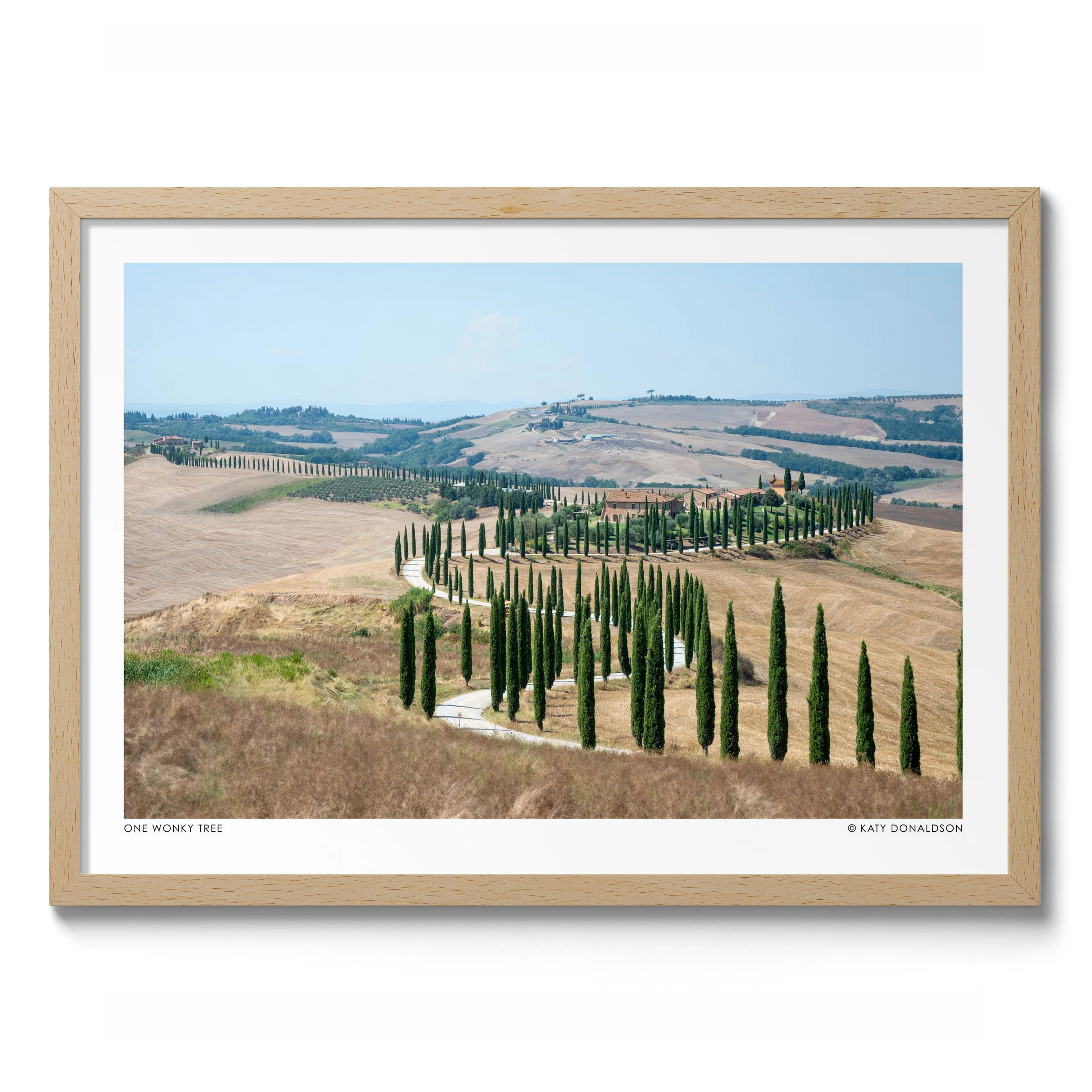 One Wonky Tree Landscape - Image 3
