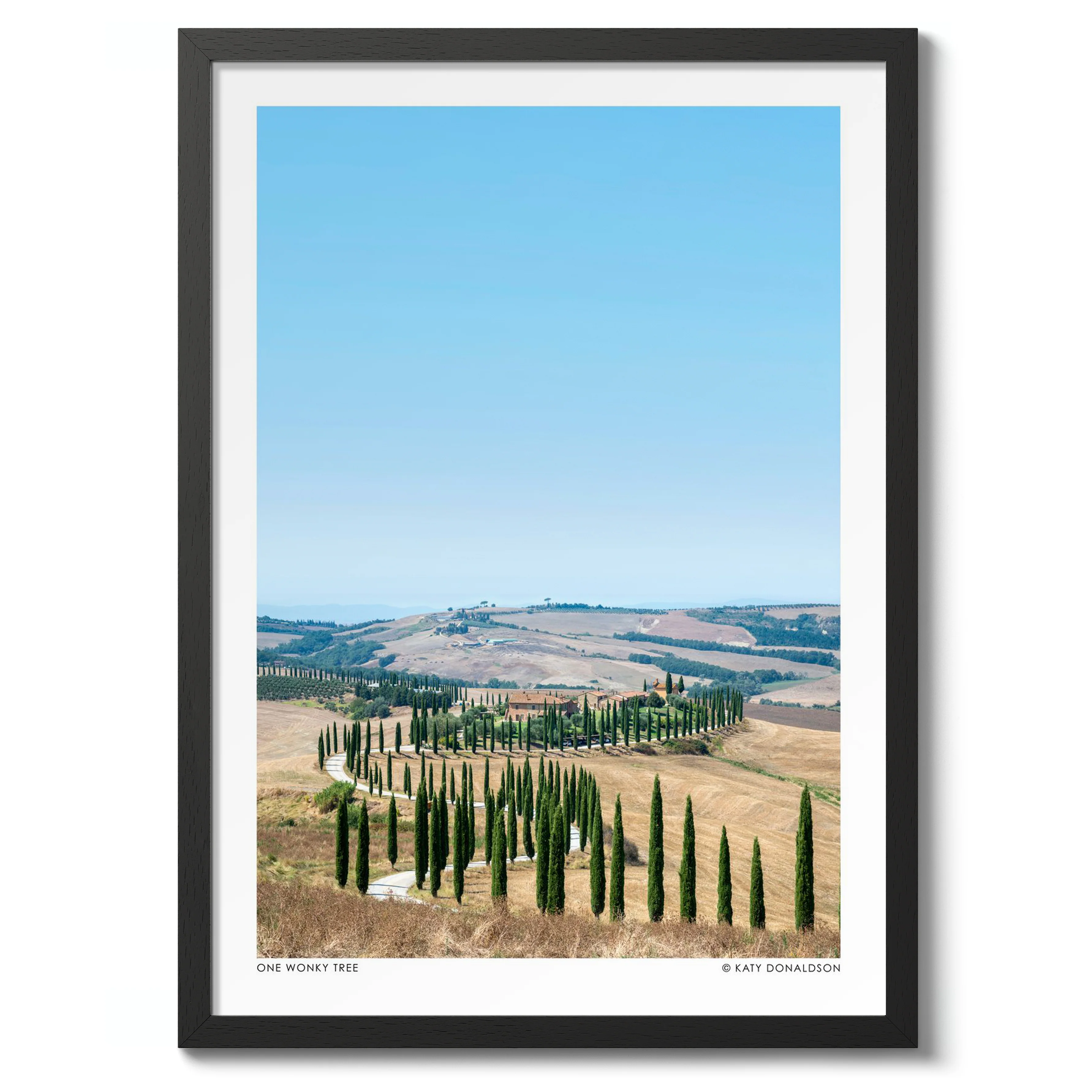 One Wonky Tree Portrait - Image 2