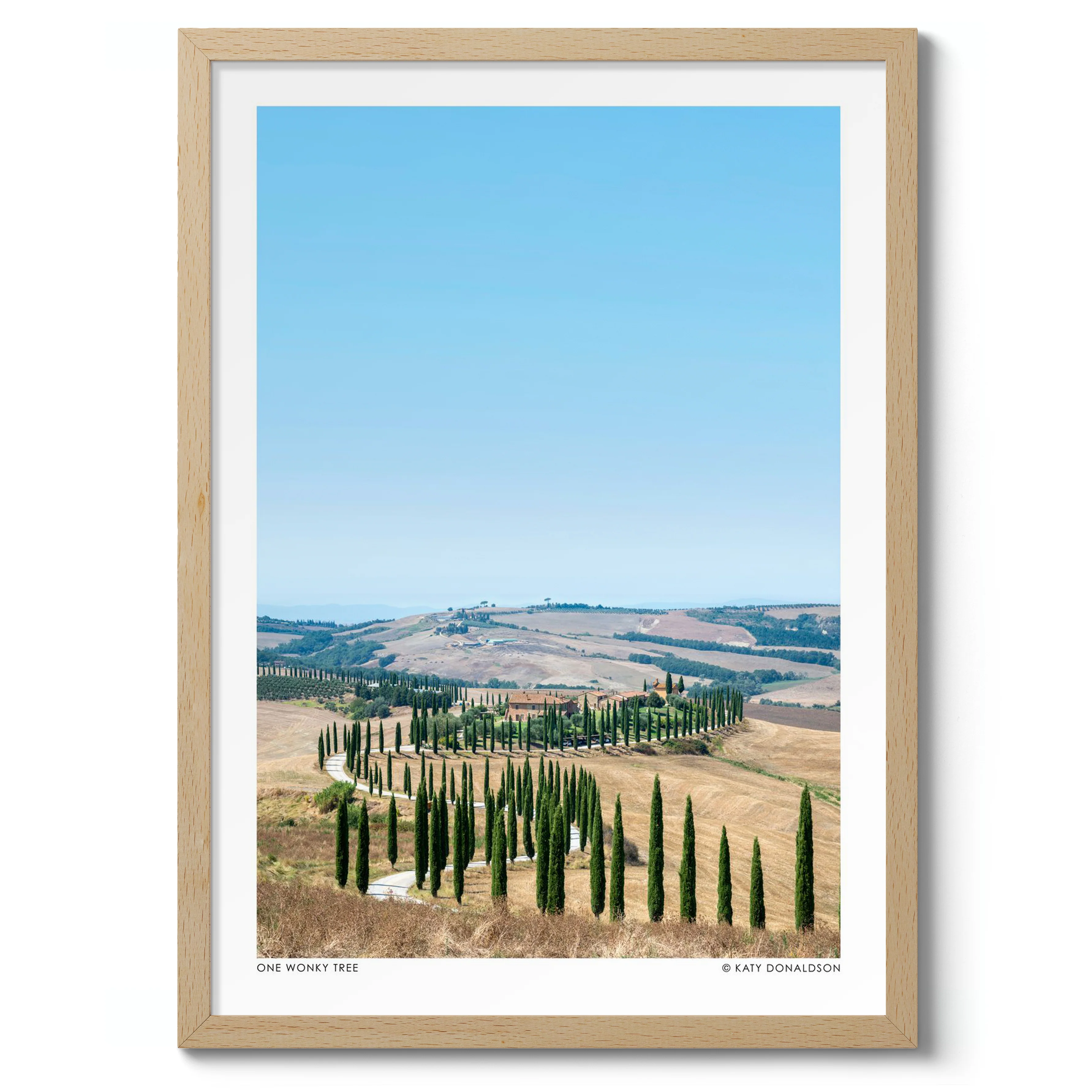 One Wonky Tree Portrait - Image 3