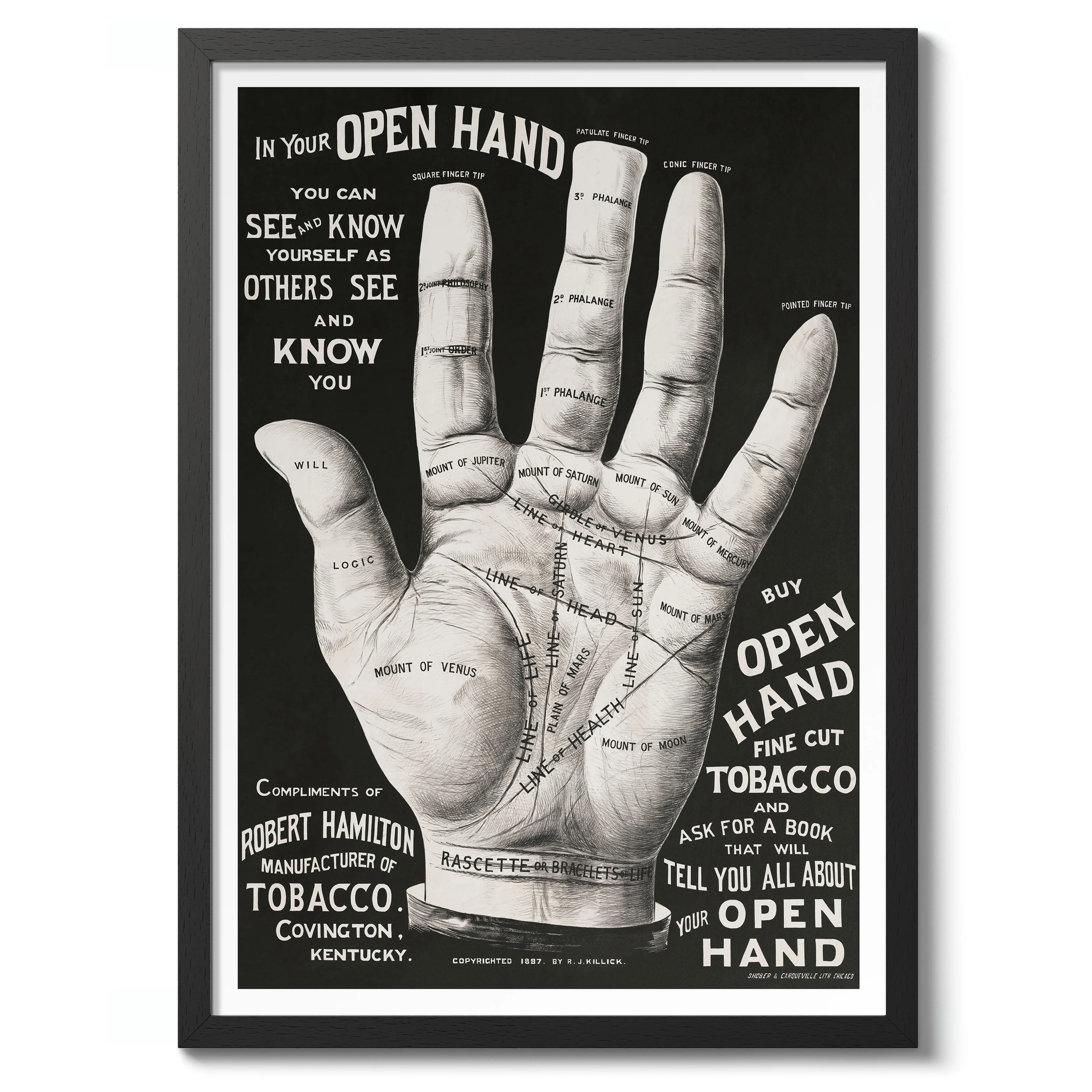 Open Hand, Palm Reading - Image 2