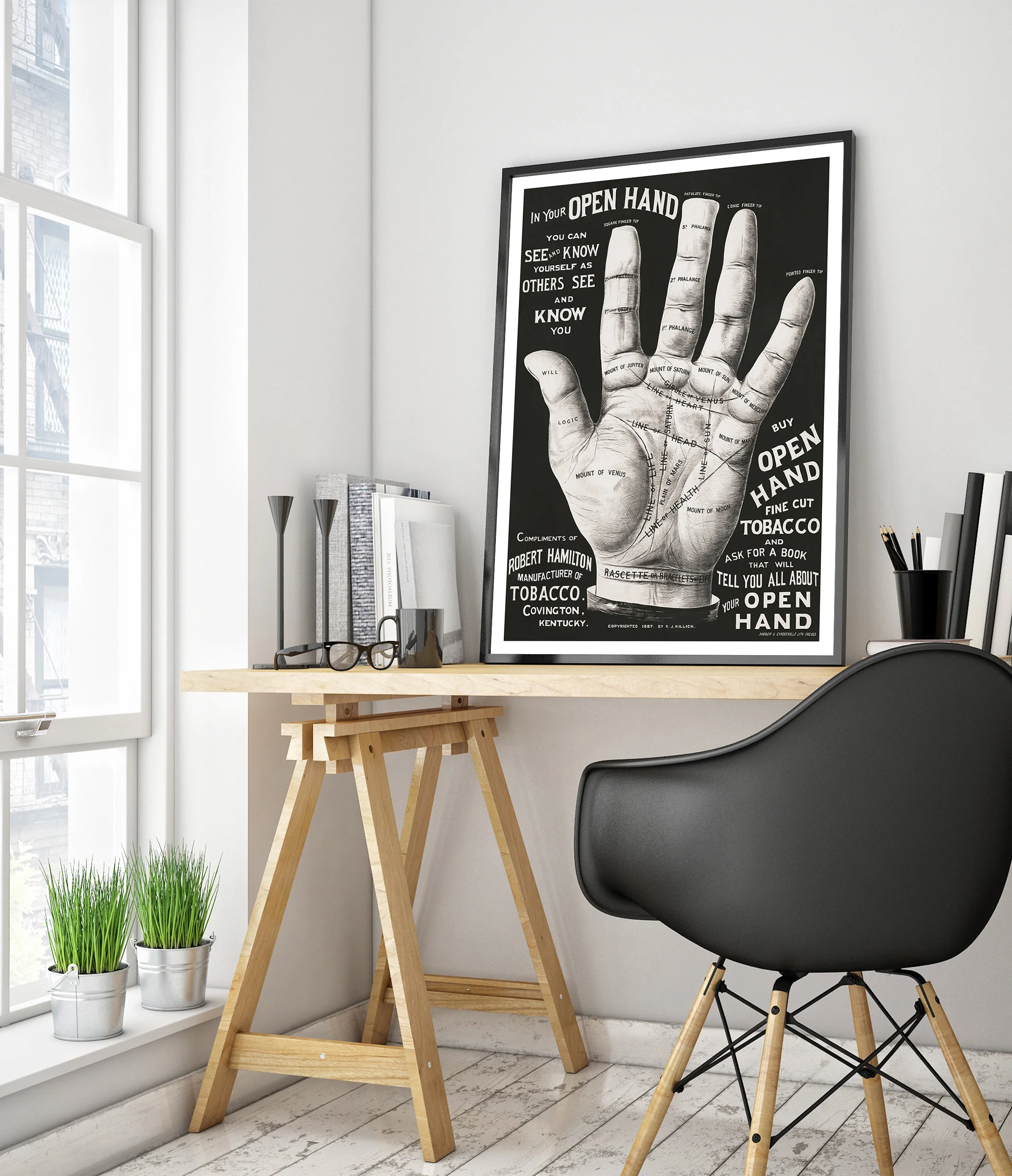 Open Hand, Palm Reading - Image 5