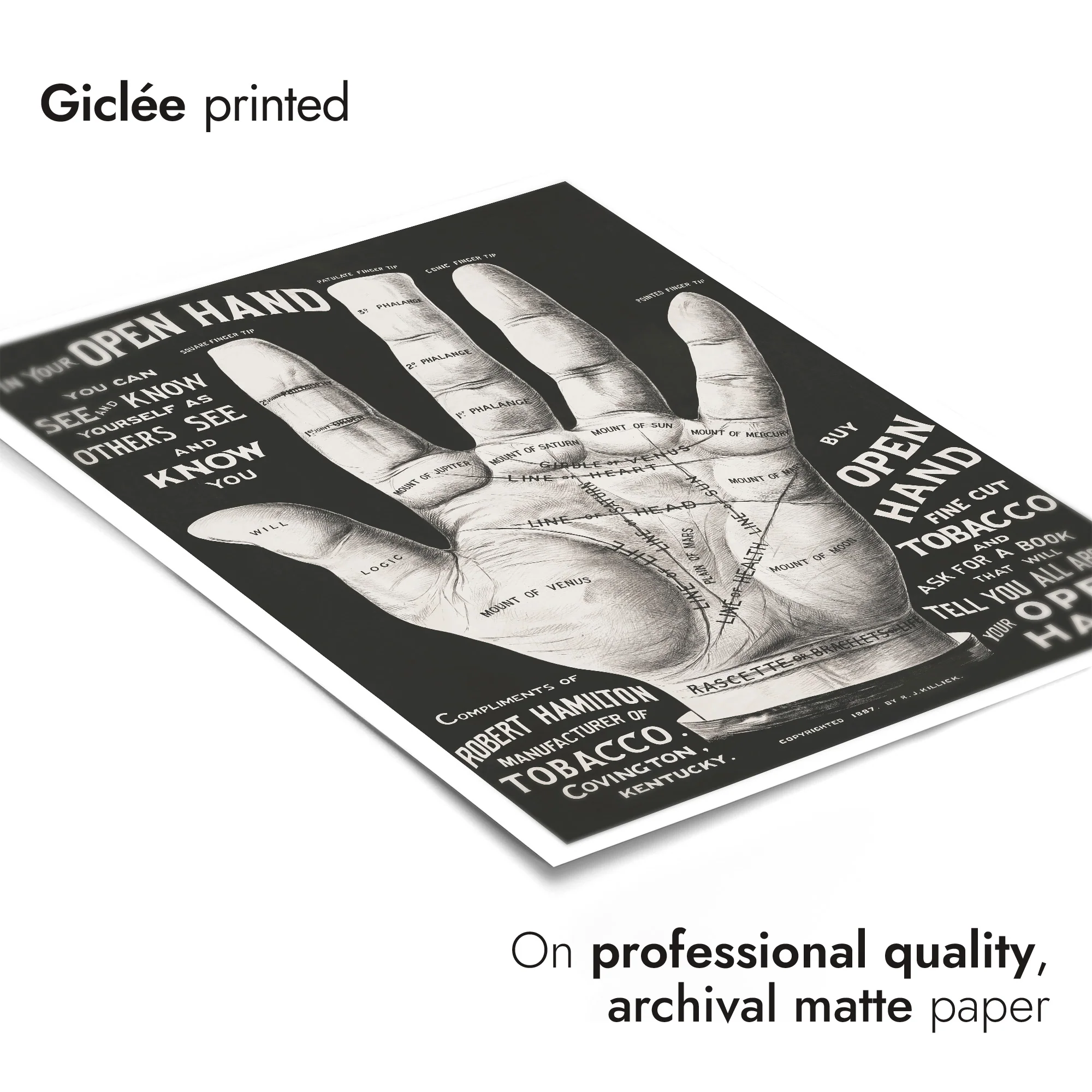 Open Hand, Palm Reading - Image 6