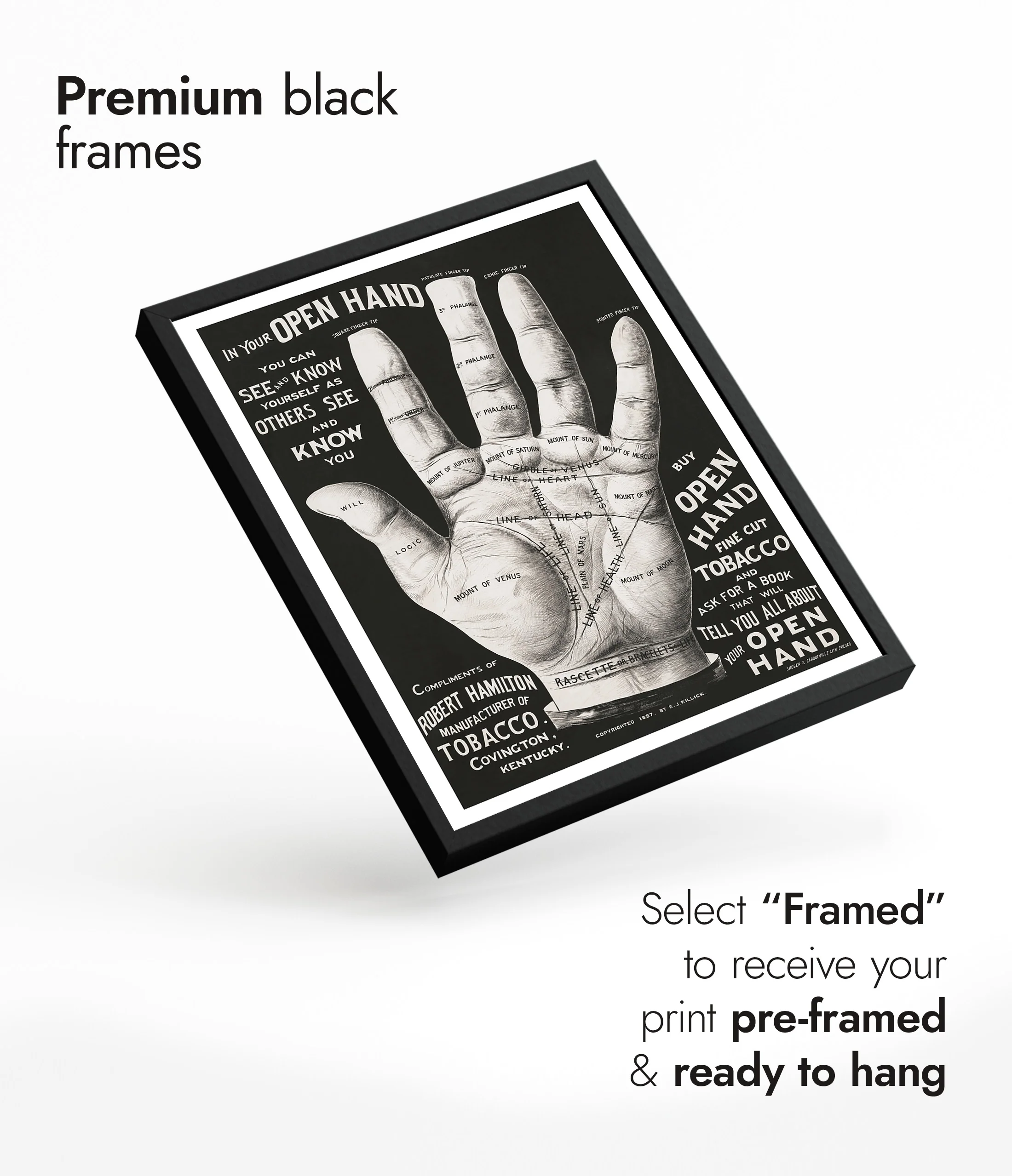 Open Hand, Palm Reading - Image 7