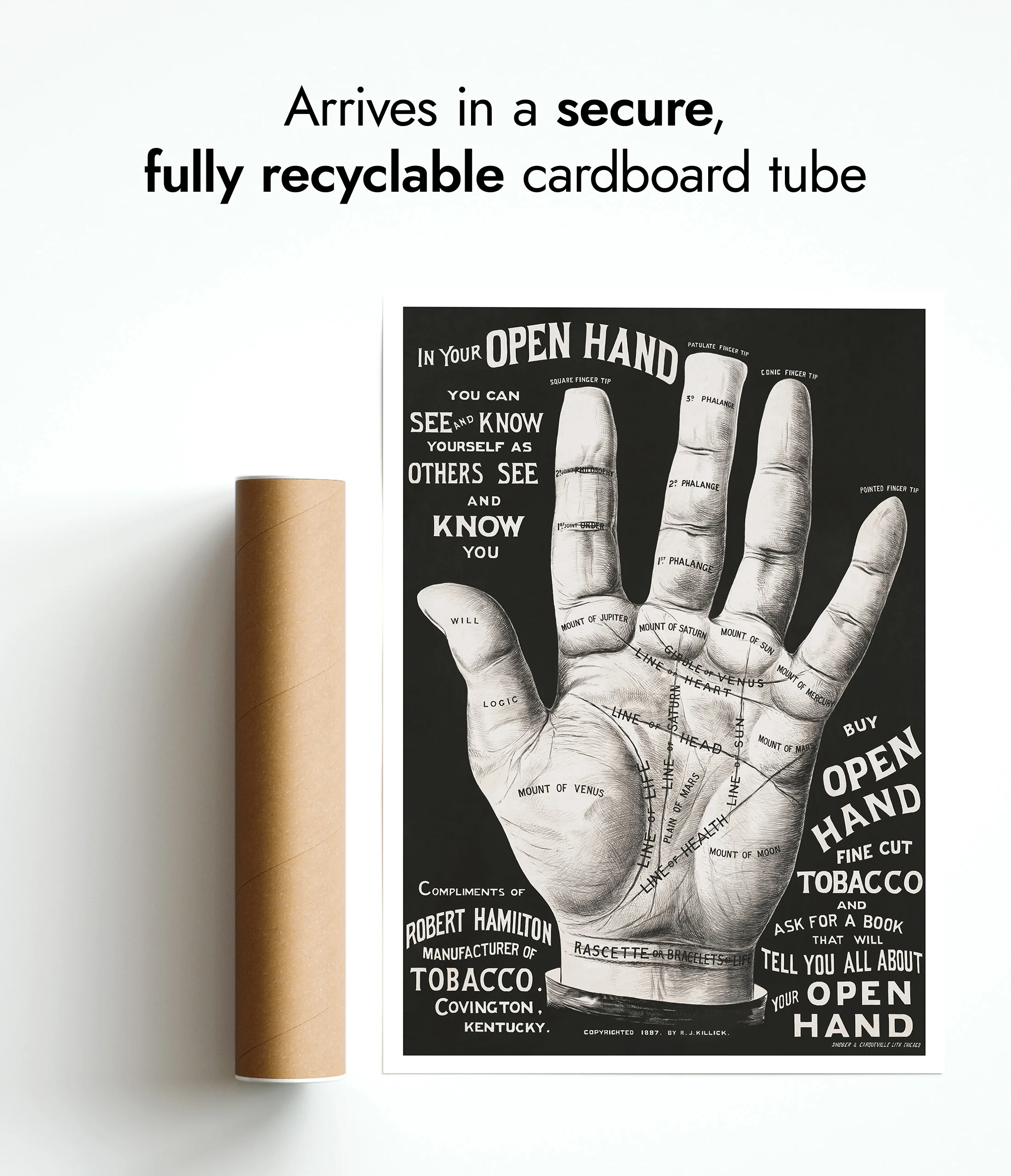 Open Hand, Palm Reading - Image 9