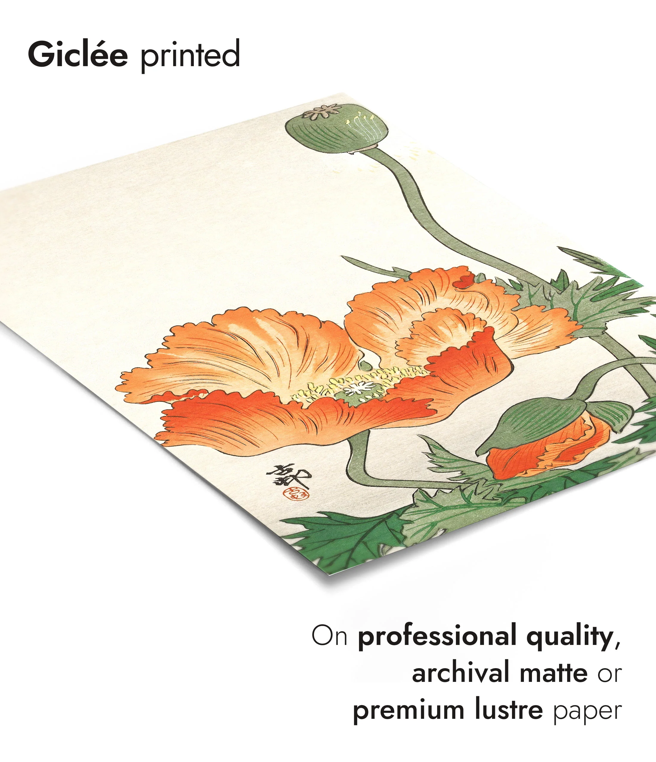 Orange Flower - Image 6