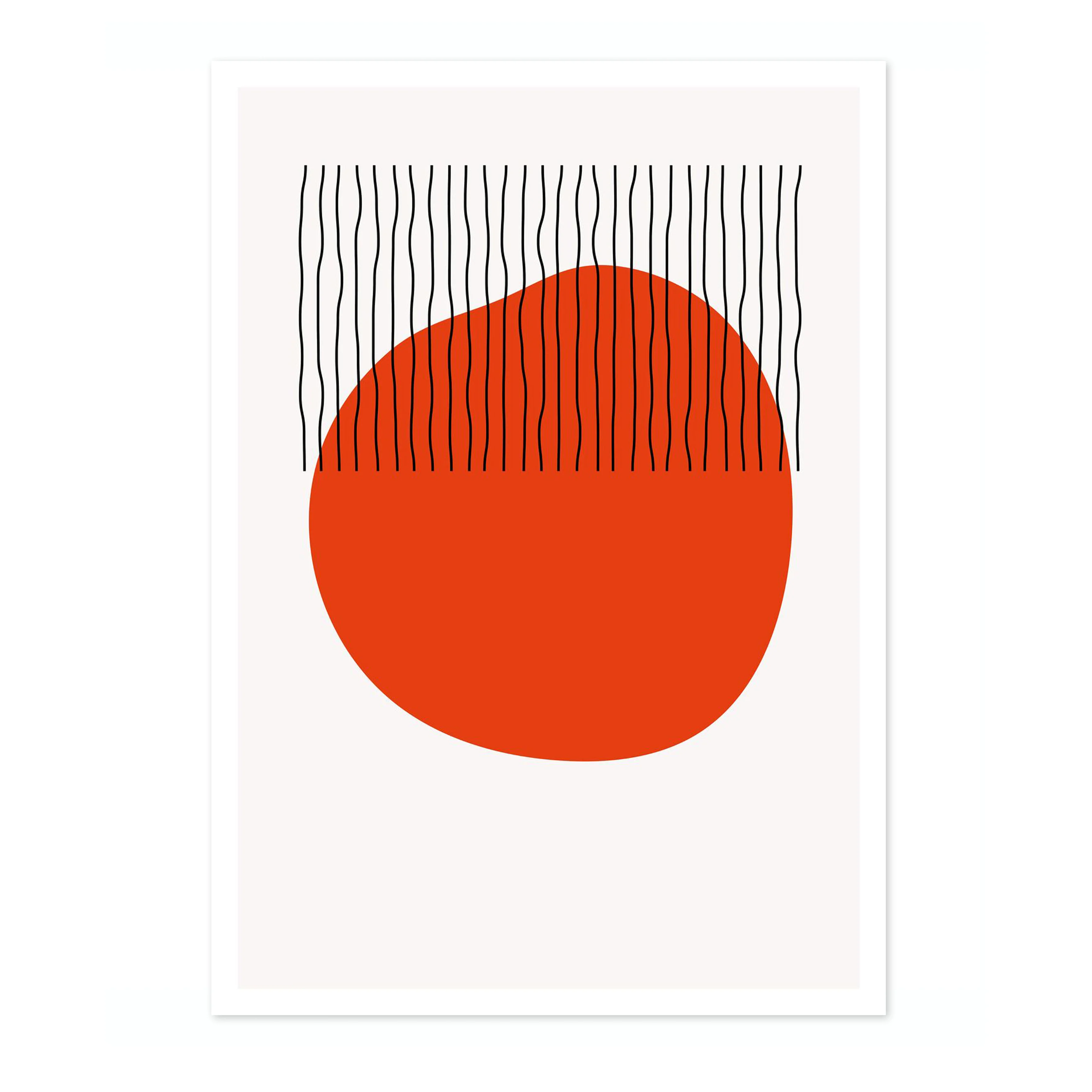 Orange Organic - Image 4