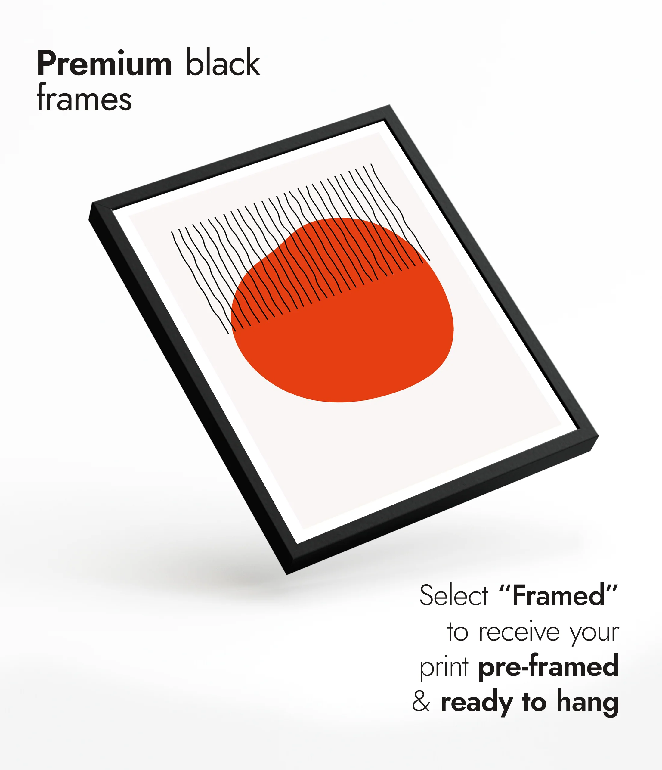 Orange Organic - Image 7