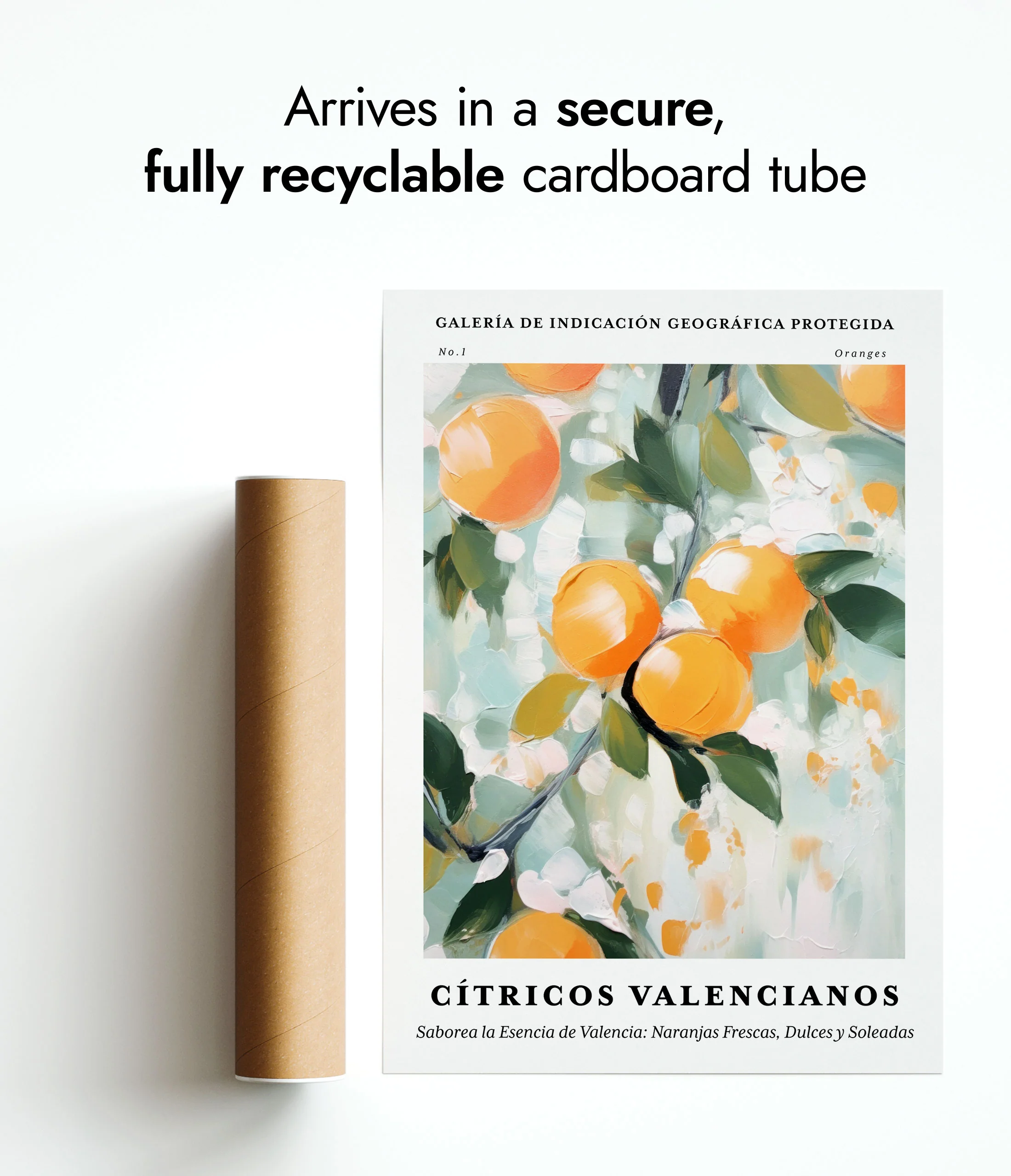 Oranges - Valencia - Image 9