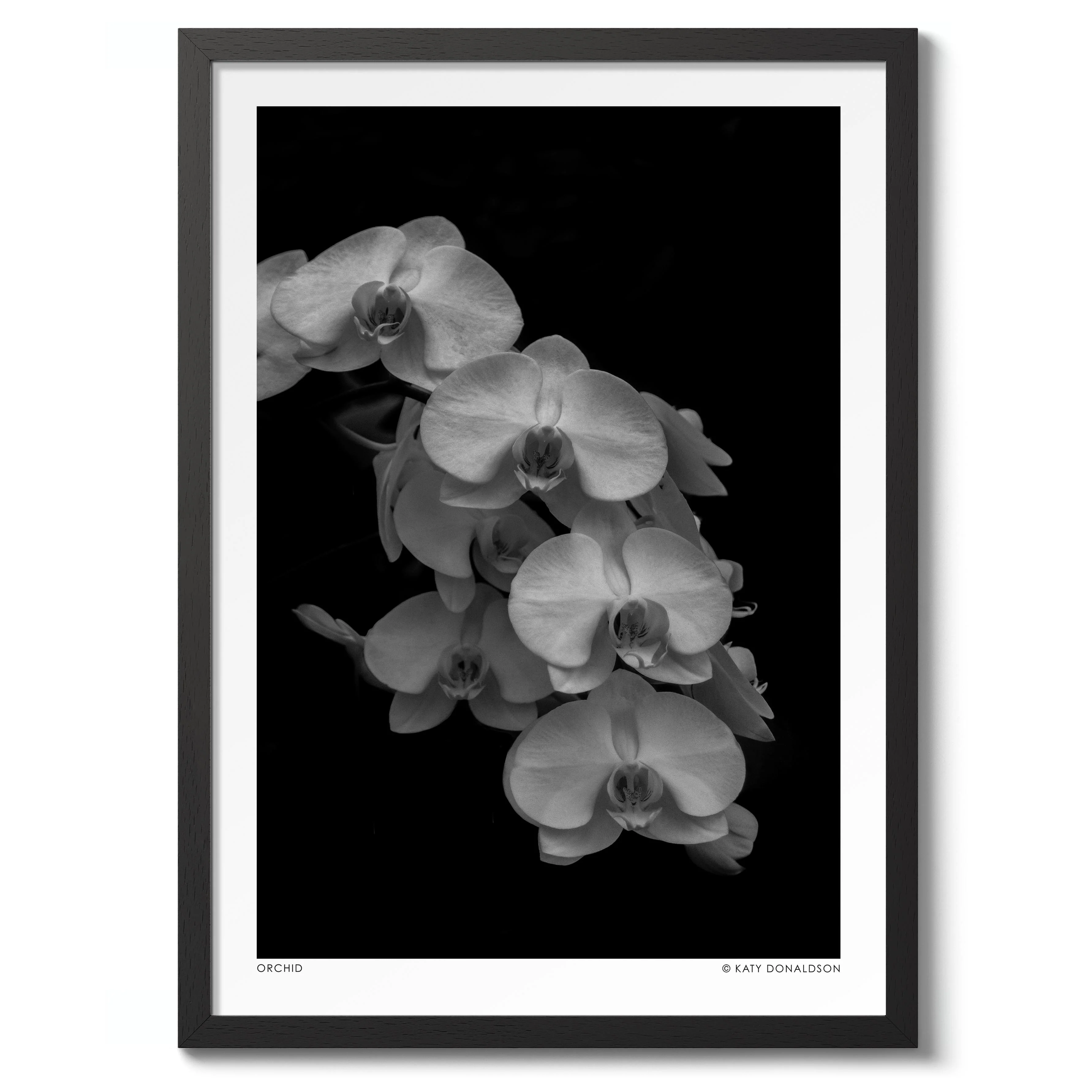 Orchid Falls - Image 2