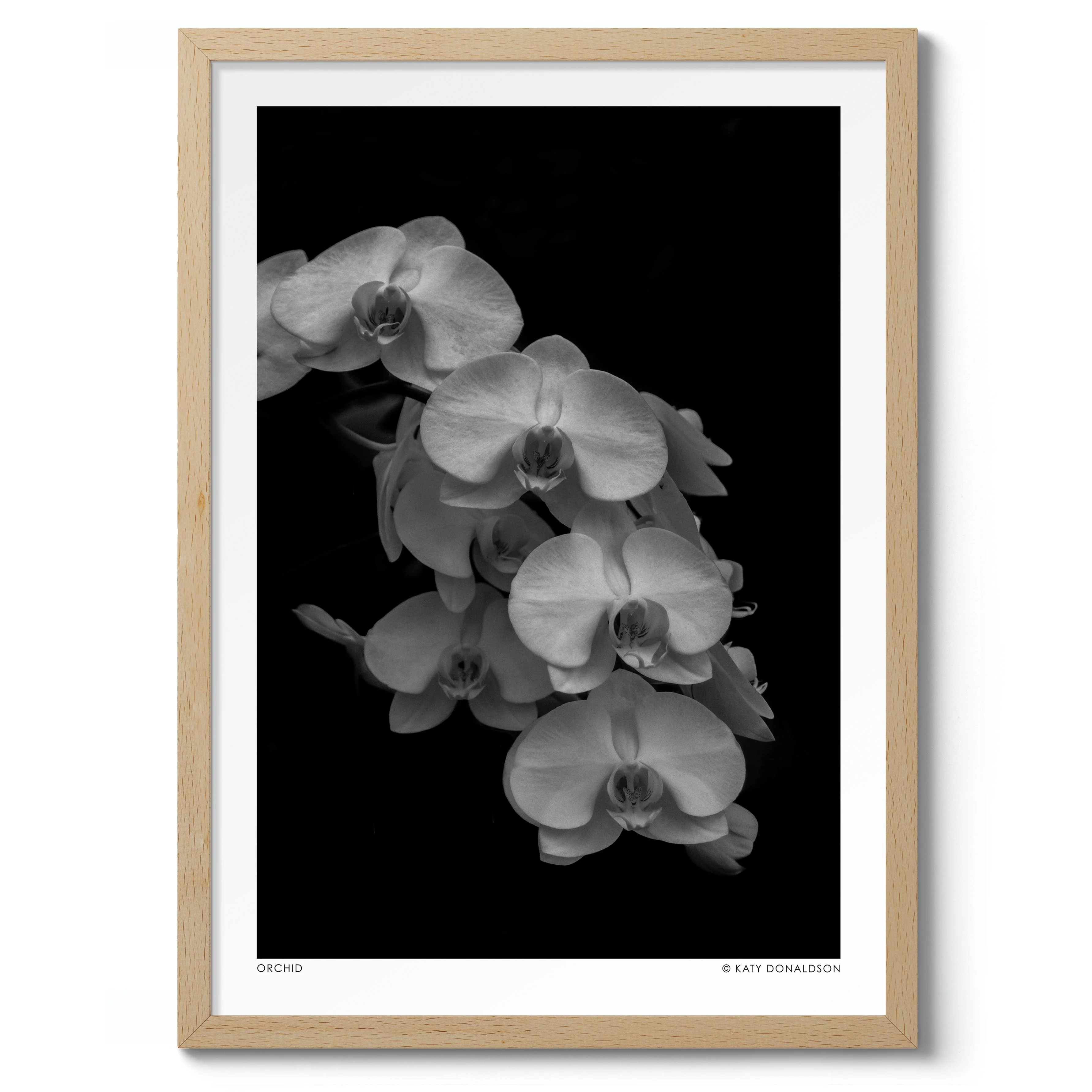 Orchid Falls - Image 3