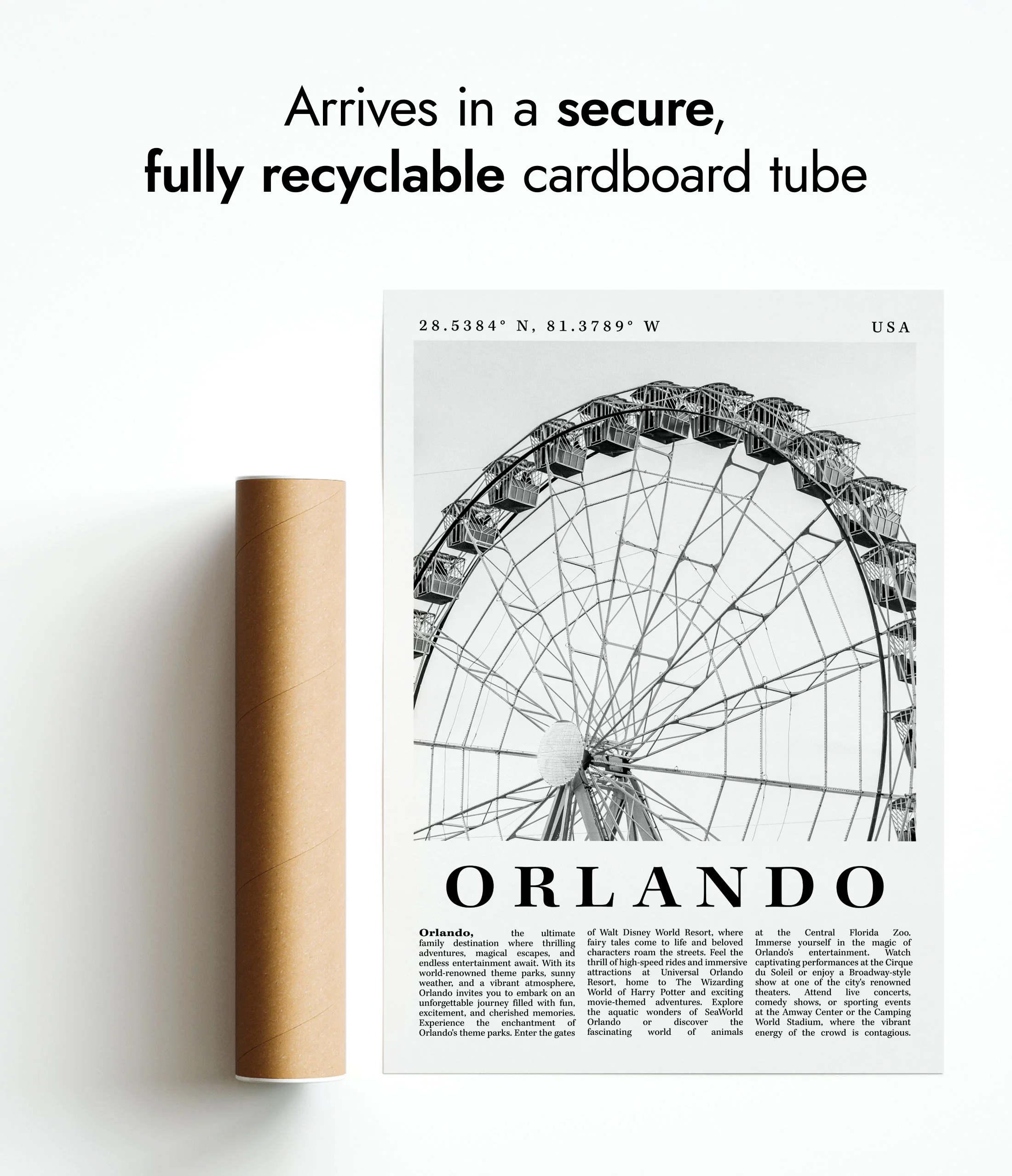 Orlando - USA - Image 9