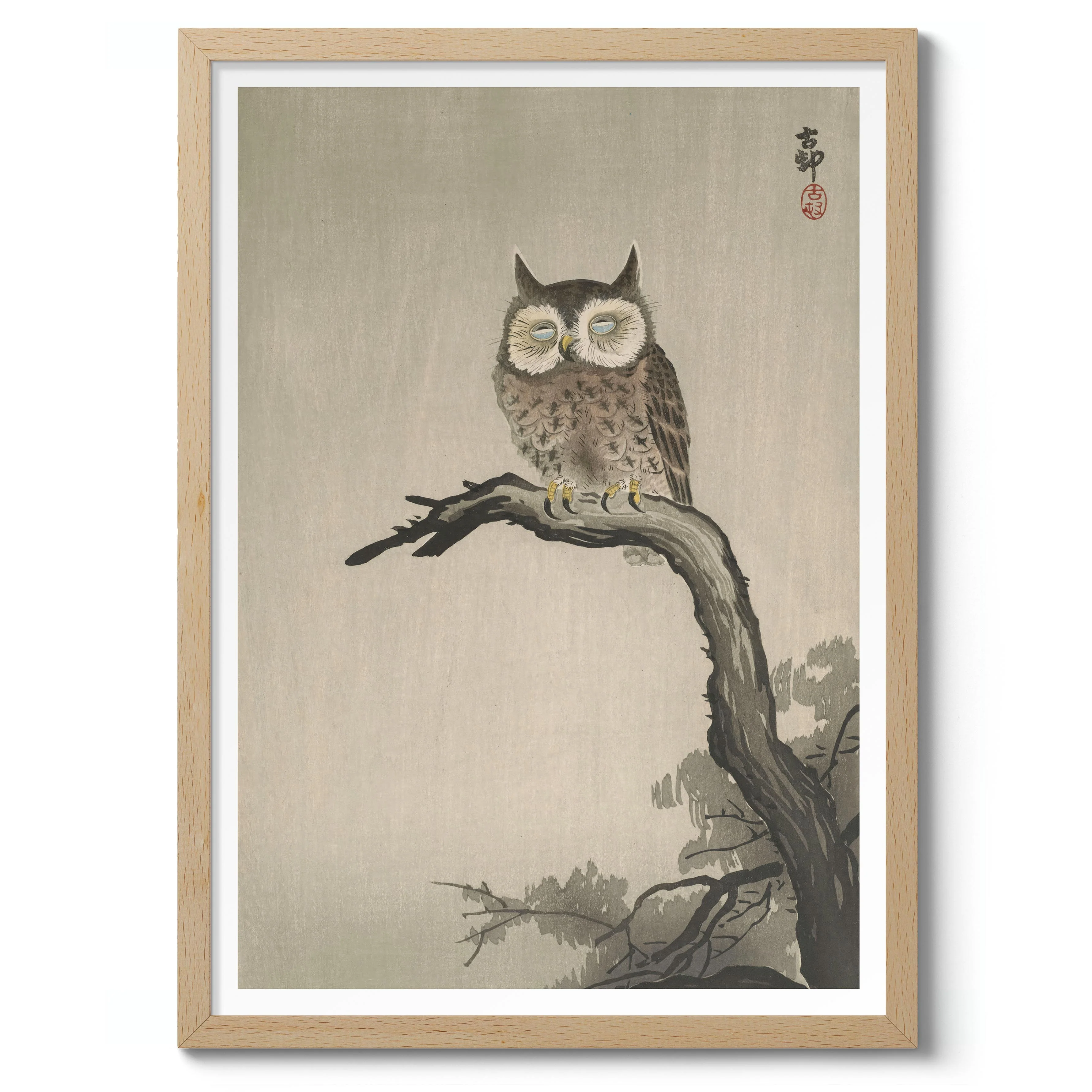 Owl on Tree - Image 3