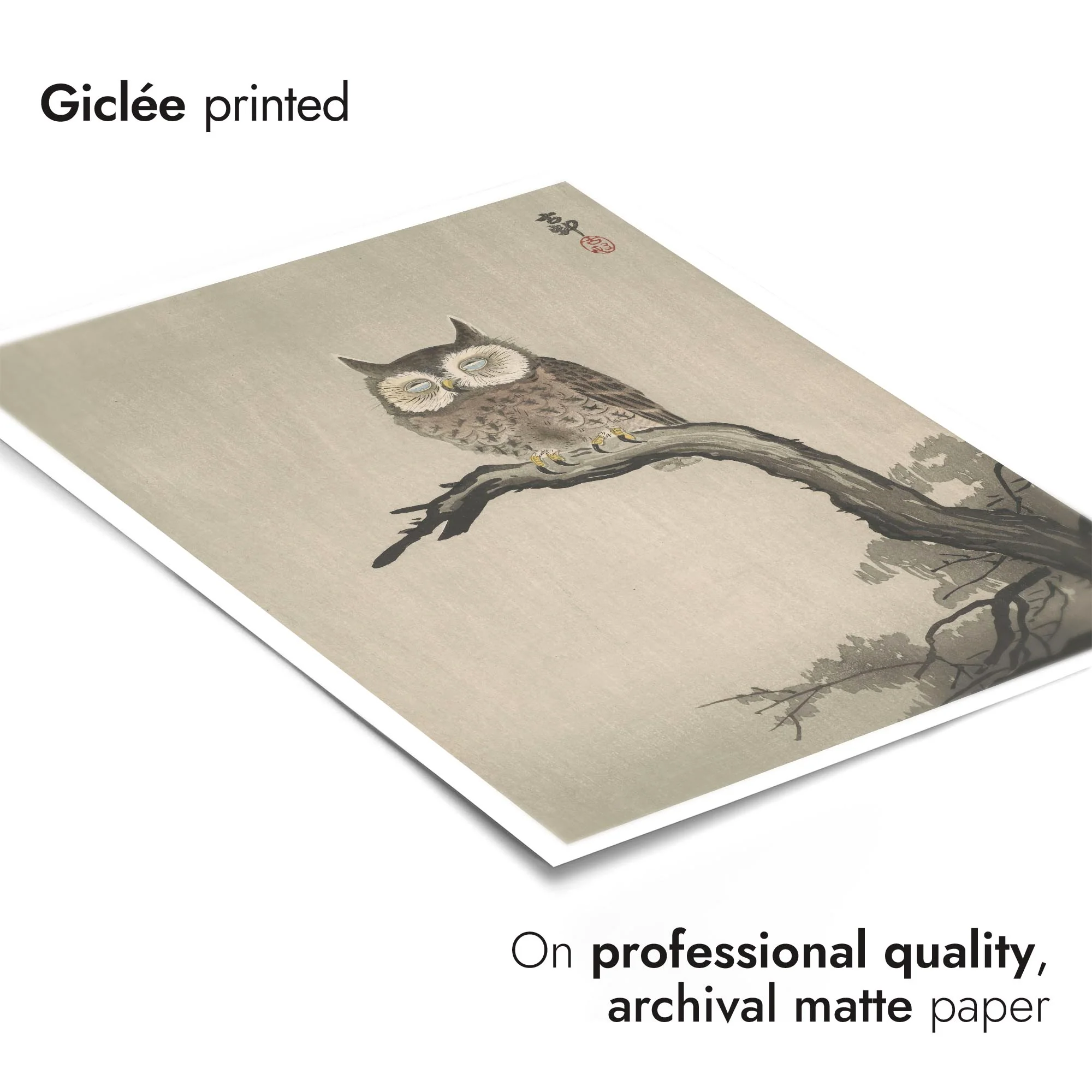 Owl on Tree - Image 6
