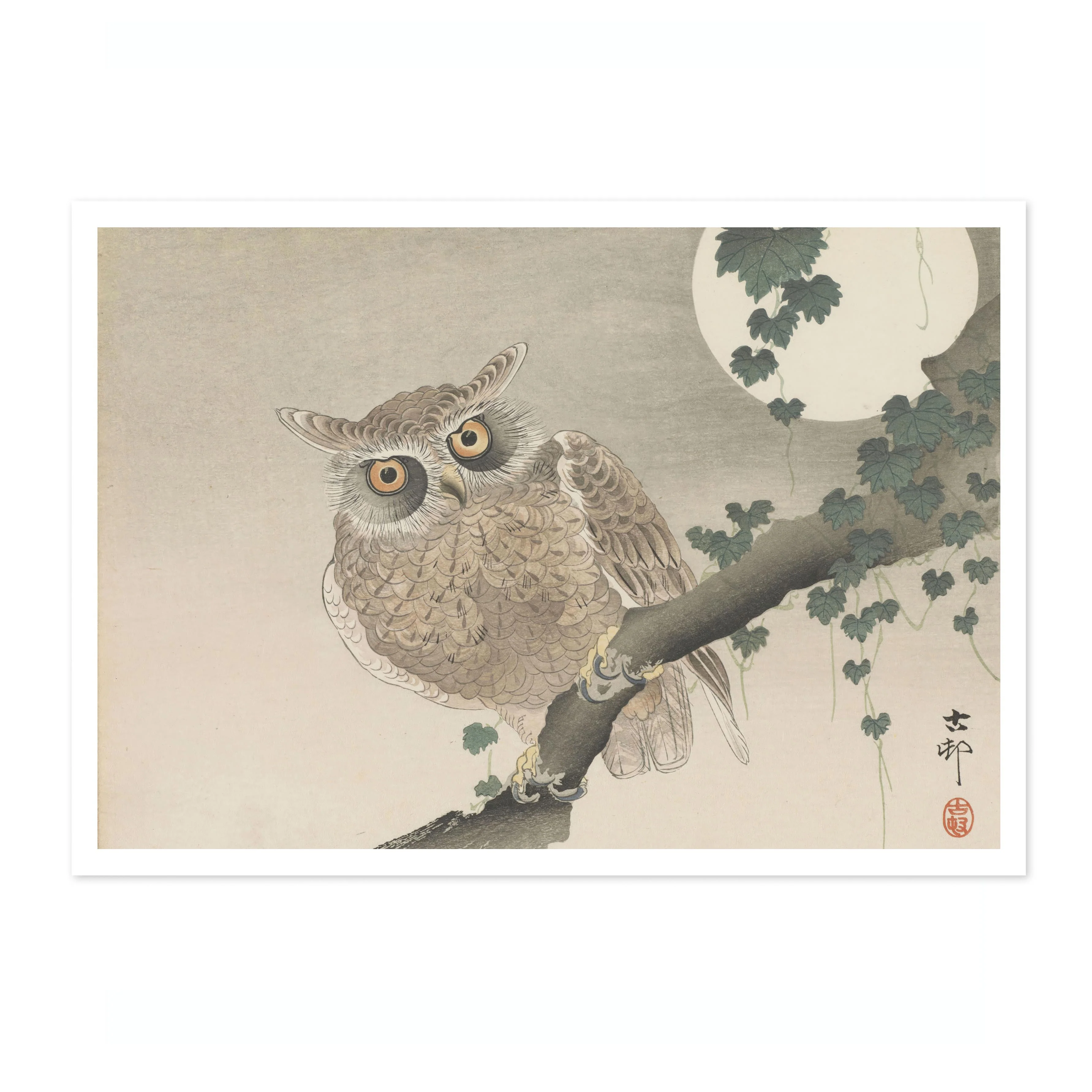 Owl Perched on a Tree Branch & Full Moon - Image 4