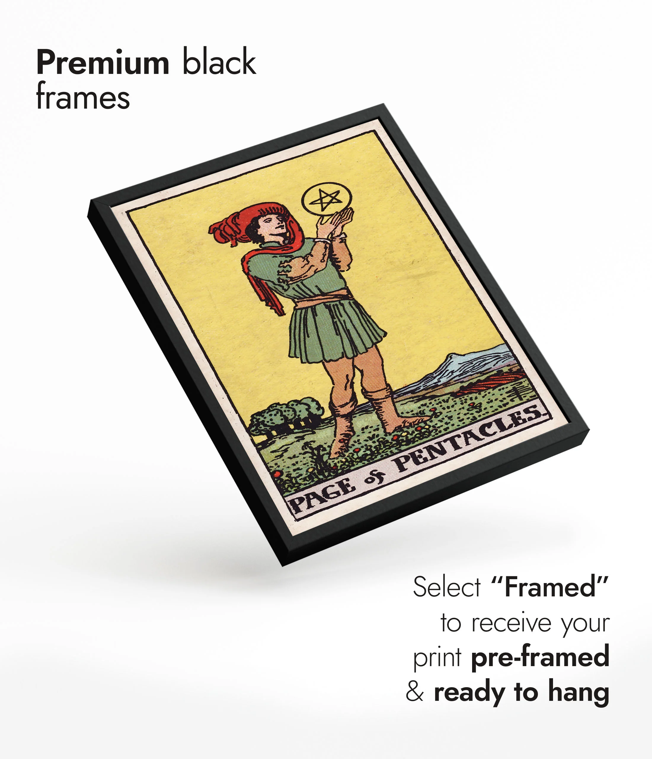 Page of Pentacles - Image 7
