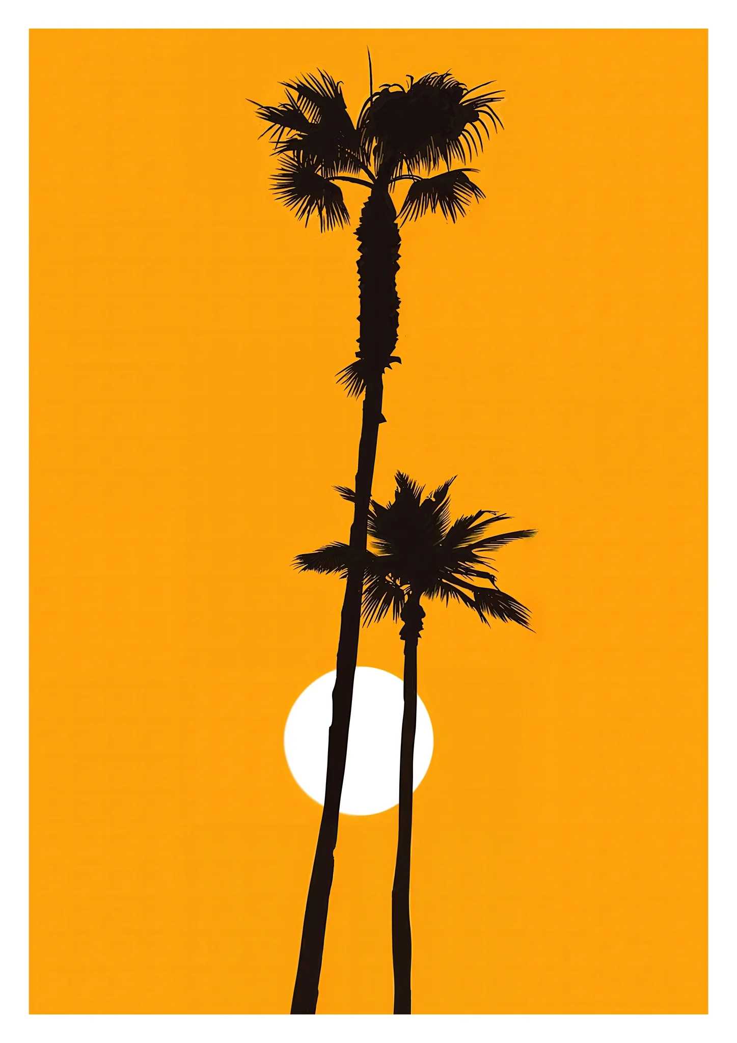 Palm Tree Sunset
