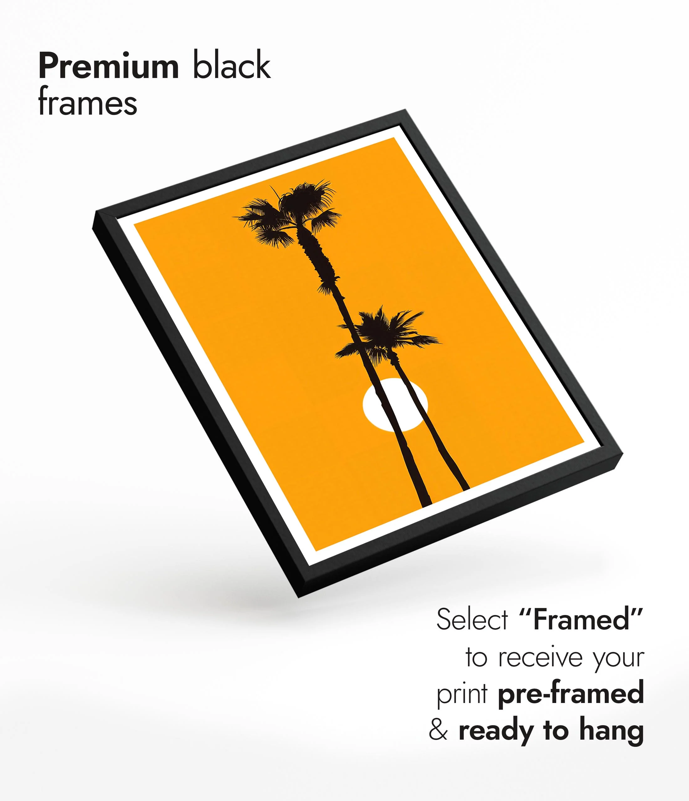 Palm Tree Sunset - Image 7