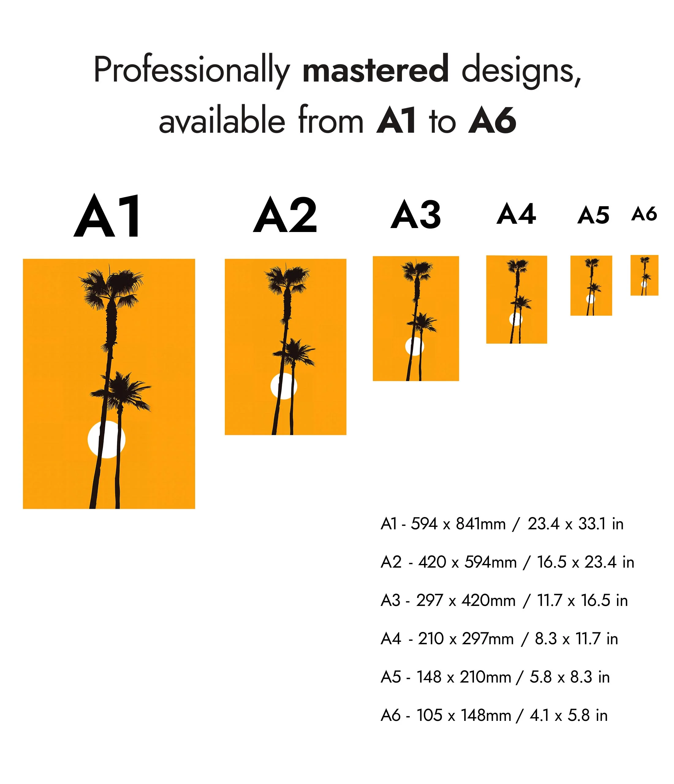 Palm Tree Sunset - Image 8