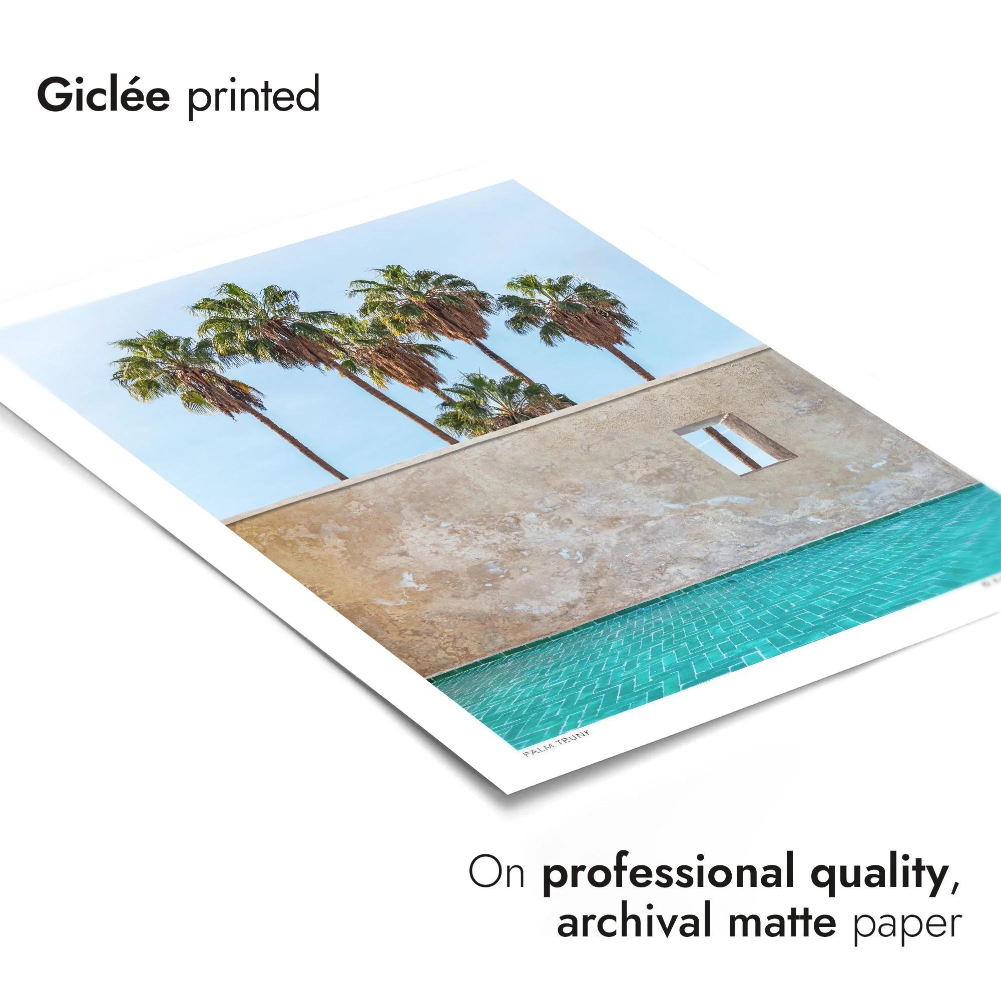 Palm Trunk - Image 6