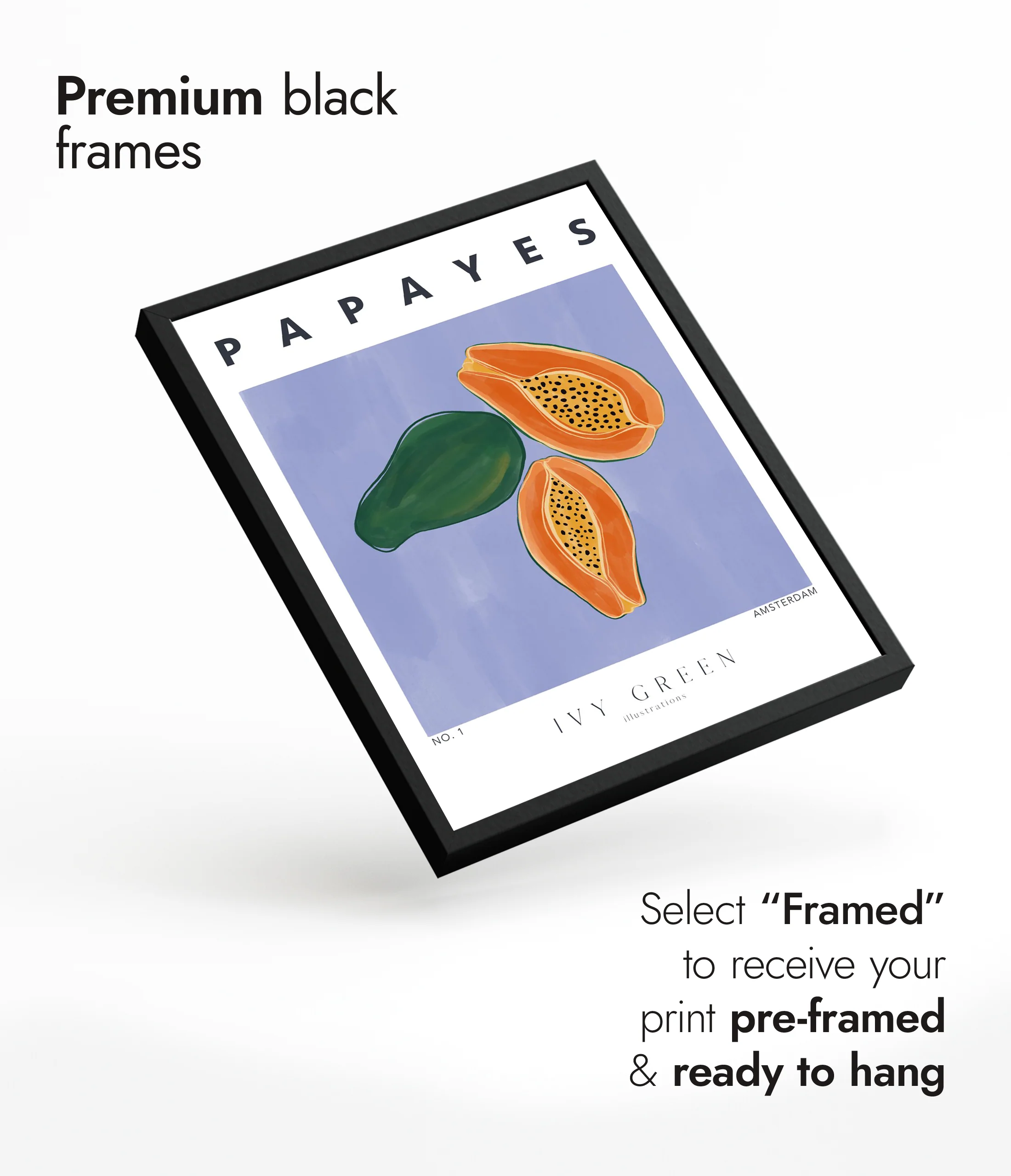 Papayes - Image 7