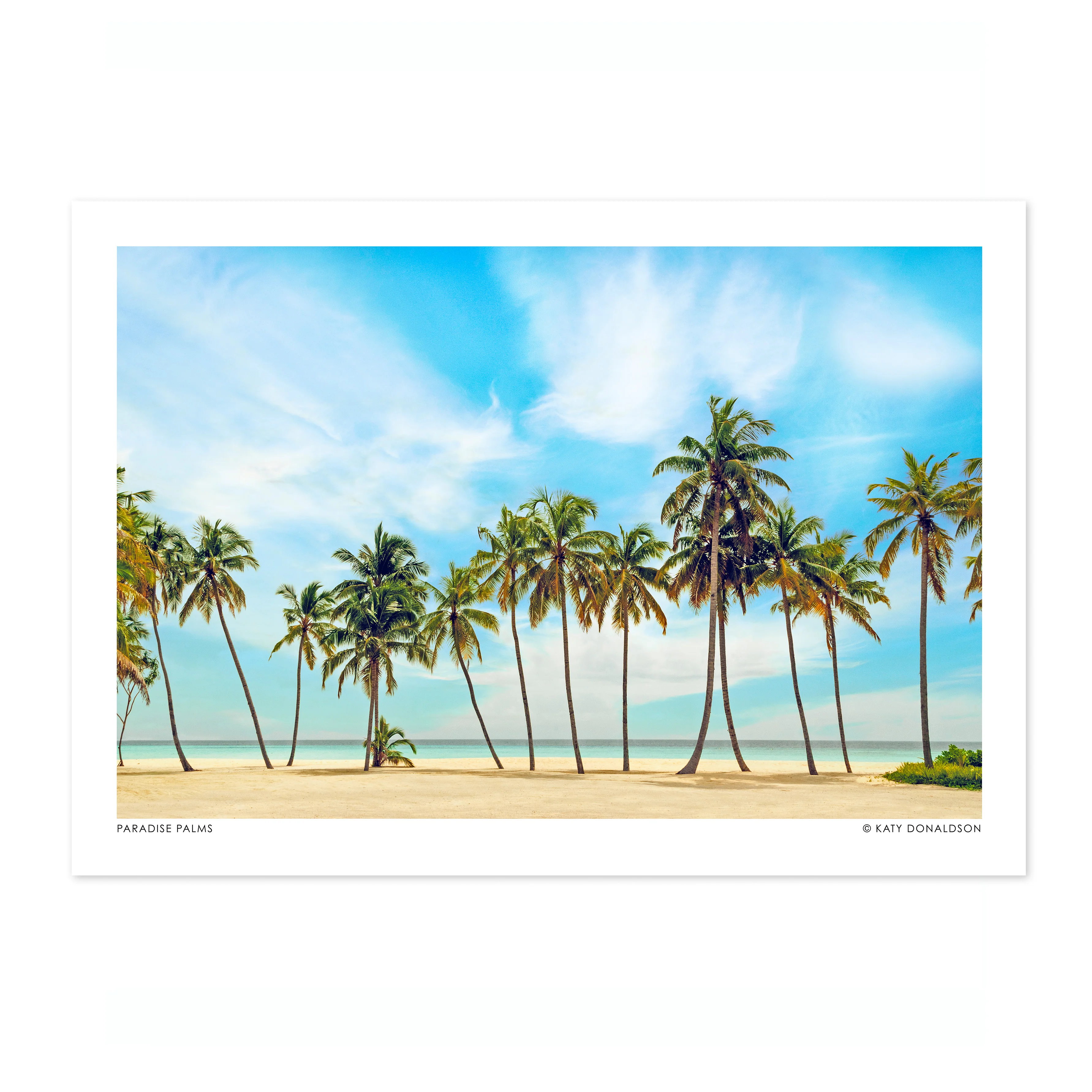Paradise Palms - Image 4