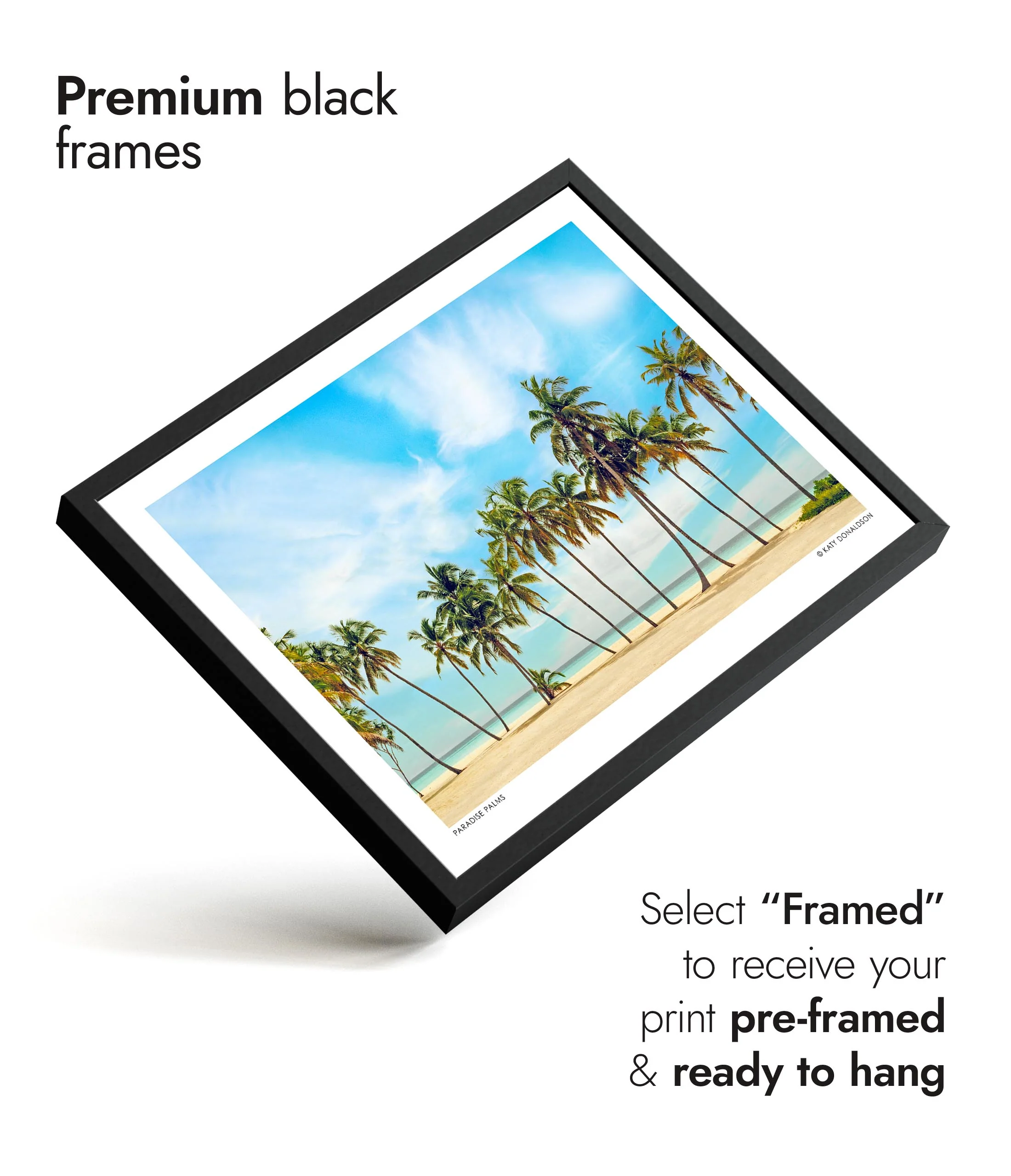 Paradise Palms - Image 7