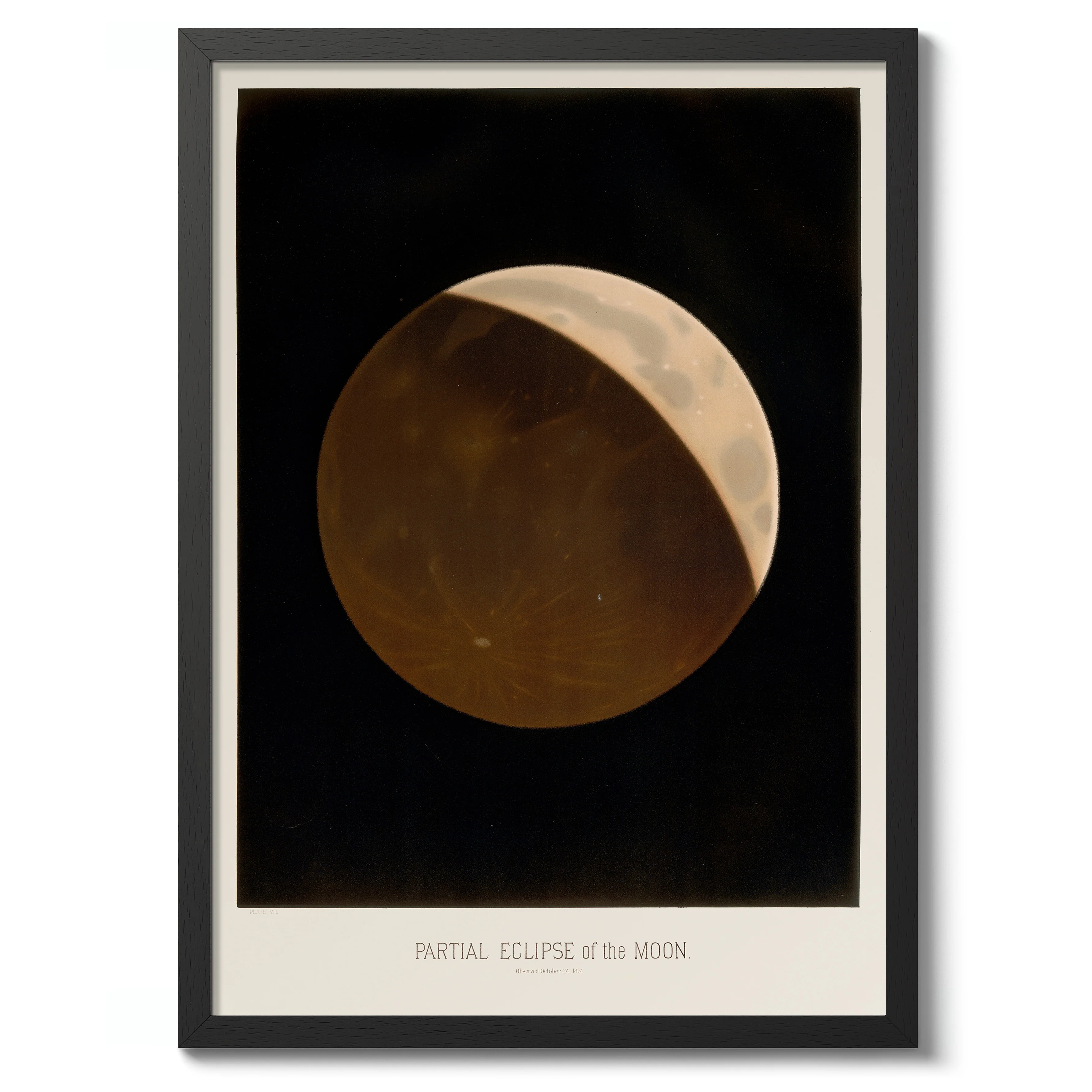 Partial Eclipse - Image 2