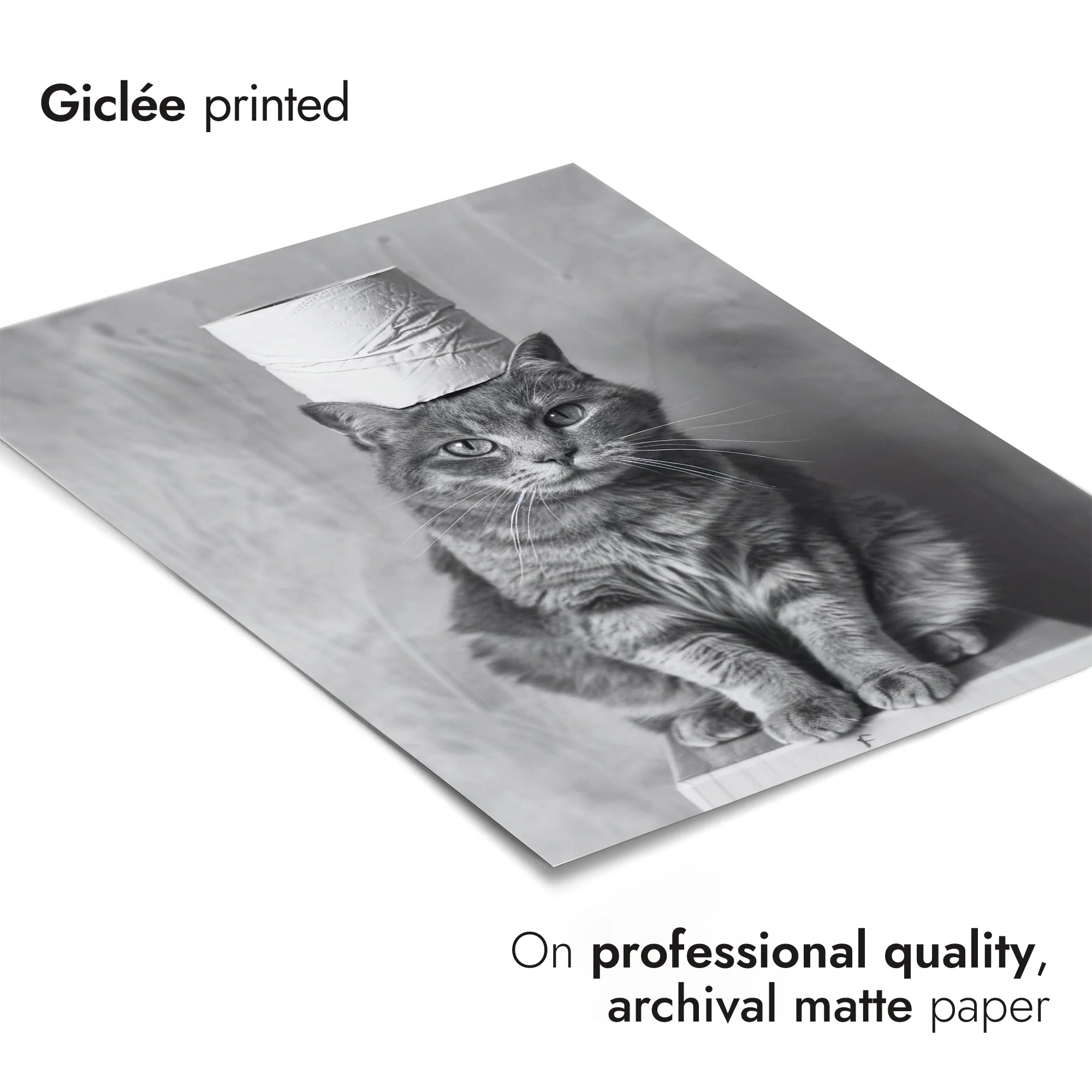 Pawsitive Roll Model - Image 6