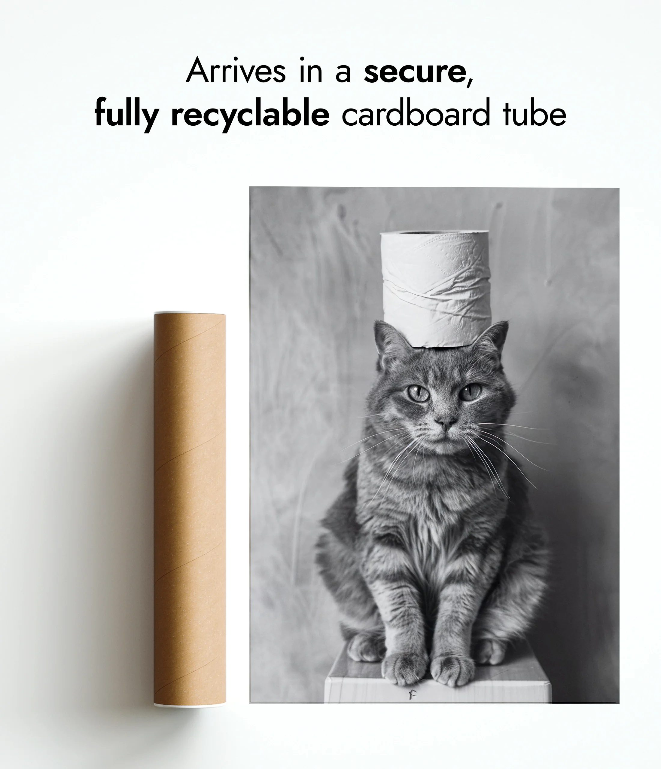 Pawsitive Roll Model - Image 9