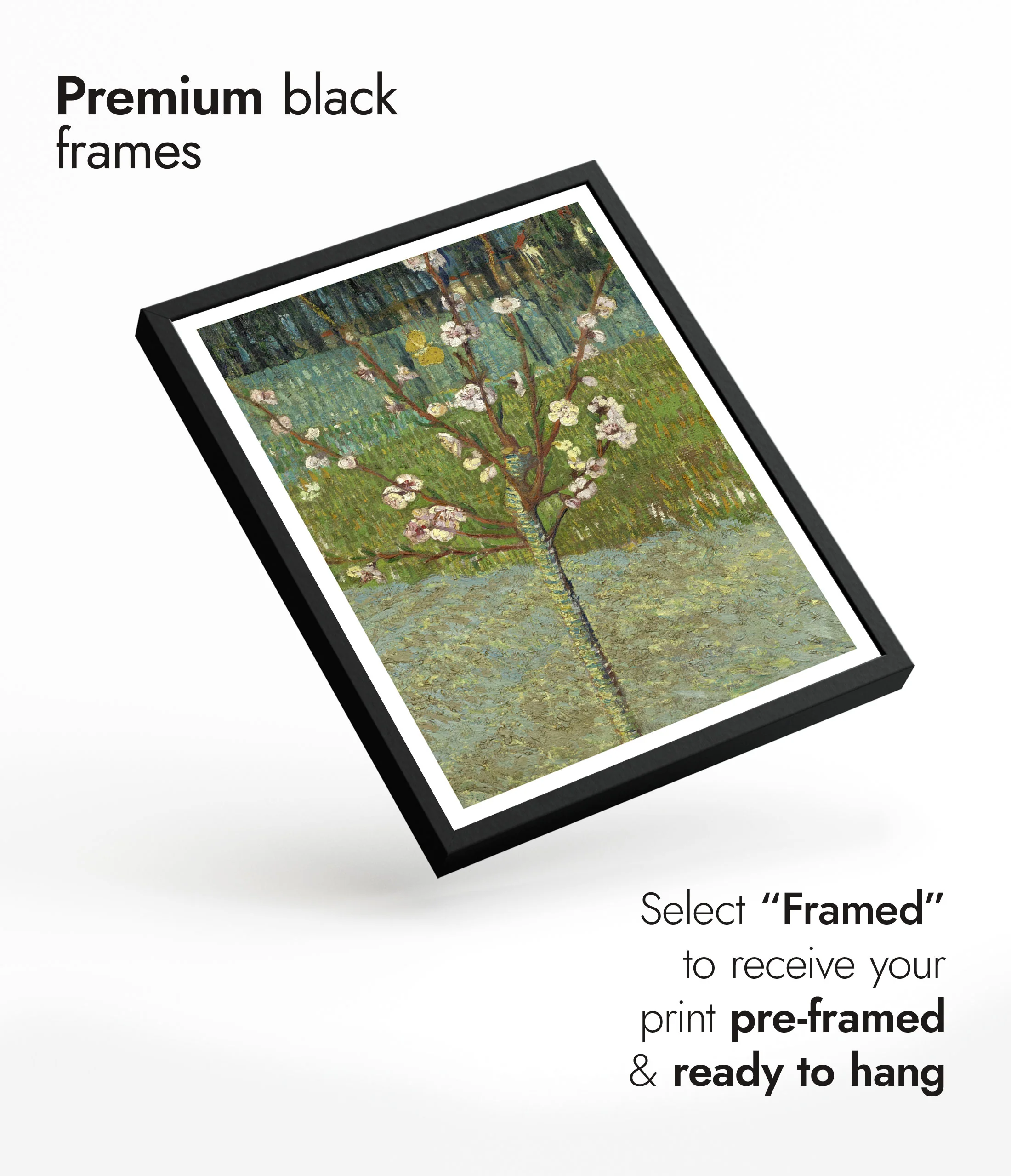 Peach Tree in Blossom - Image 7