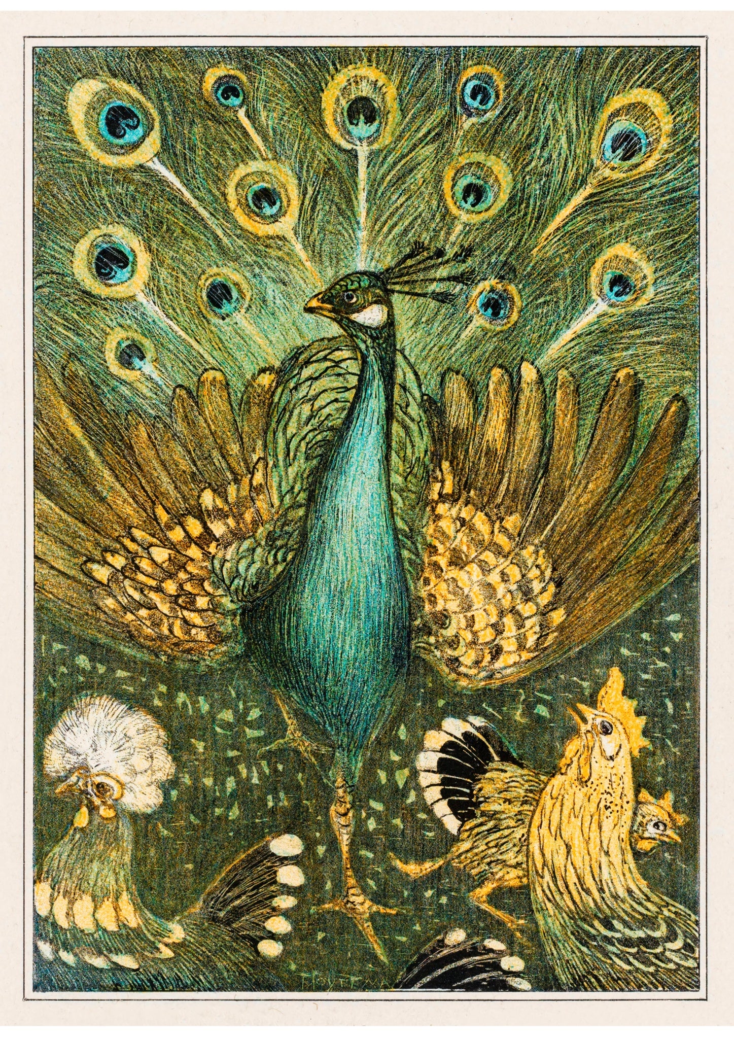 Peafowl and Hens