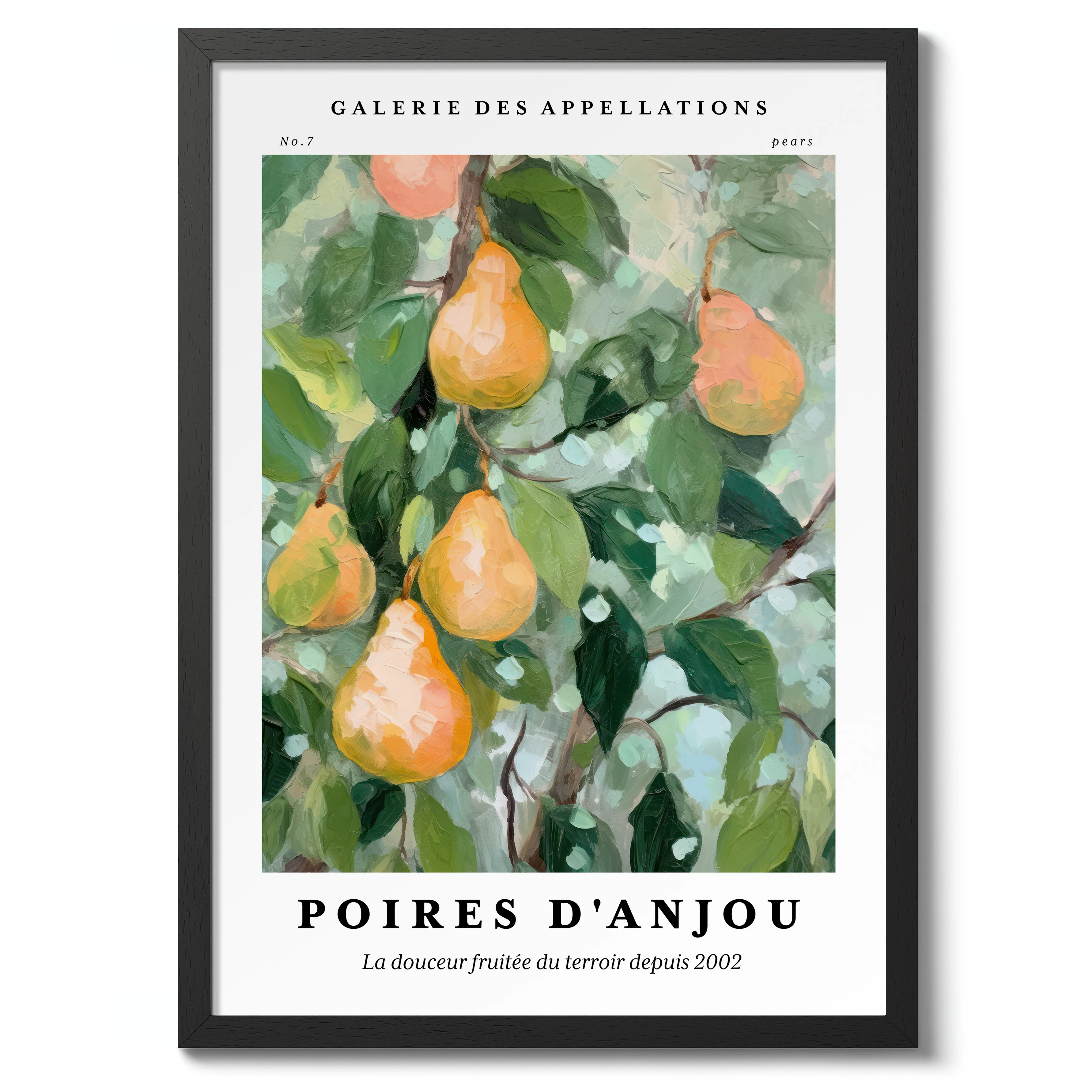 Pears - Anjou - Image 2