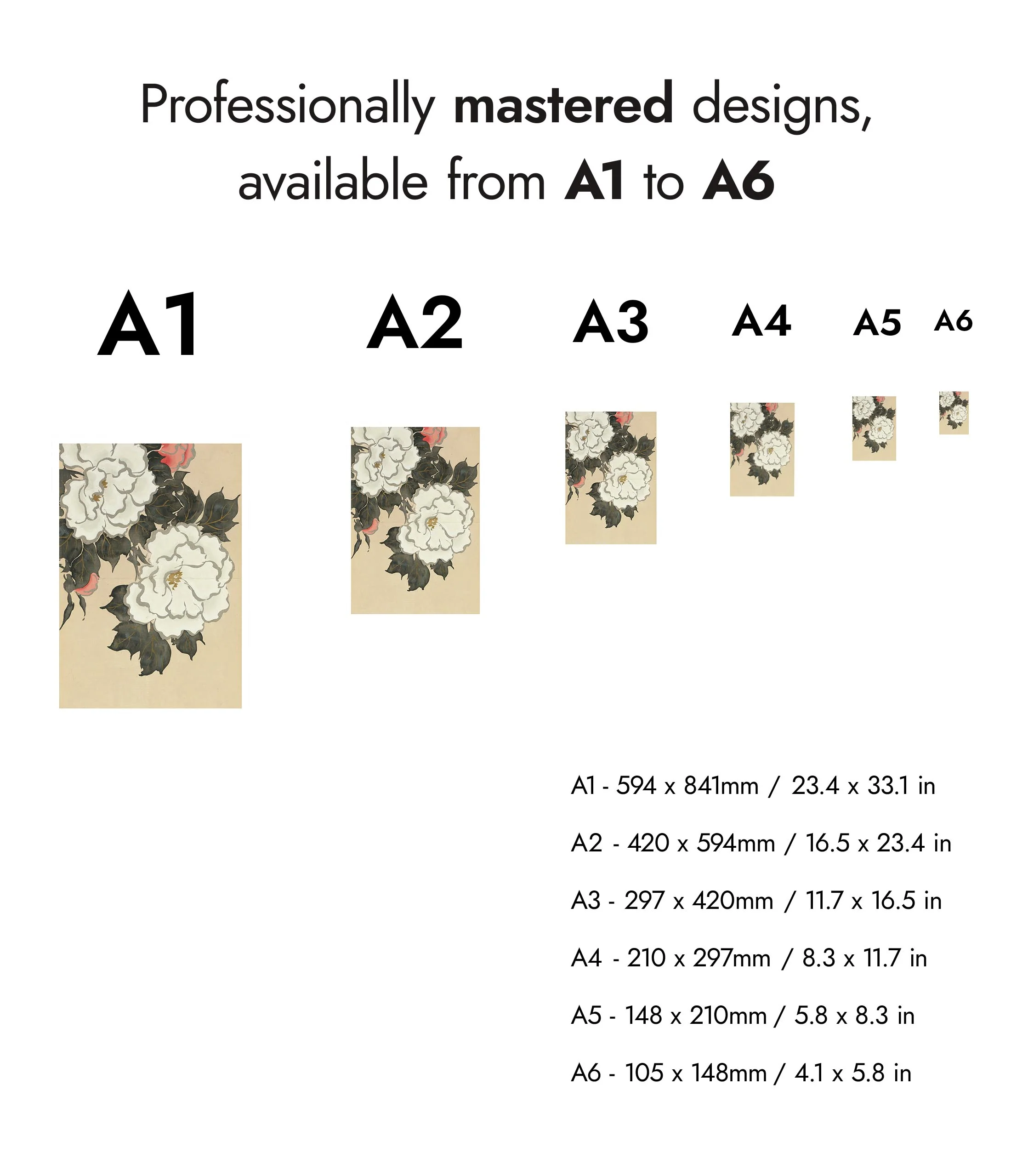 Peonies - Image 8