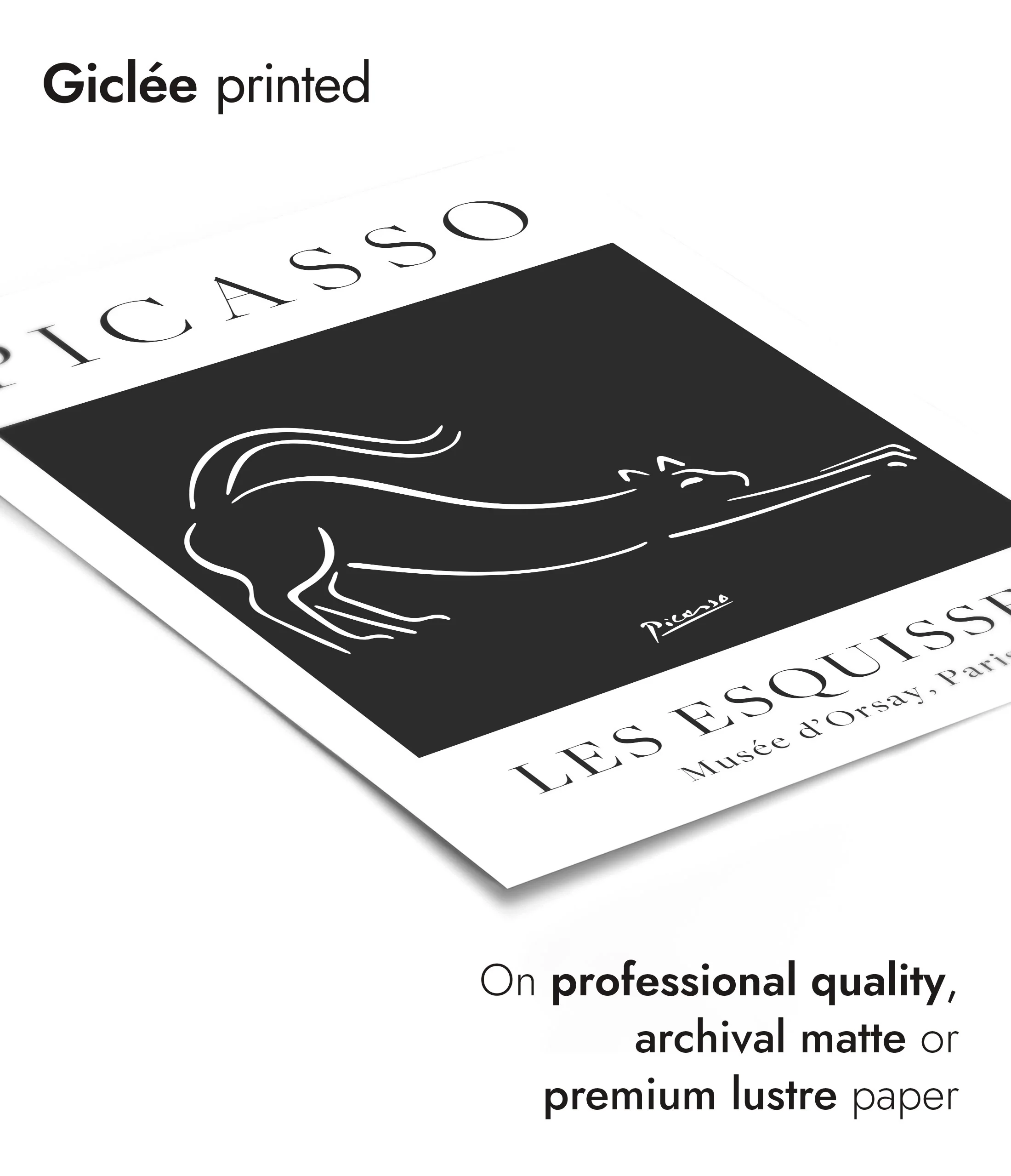 Picasso - Set of 3 - Image 6