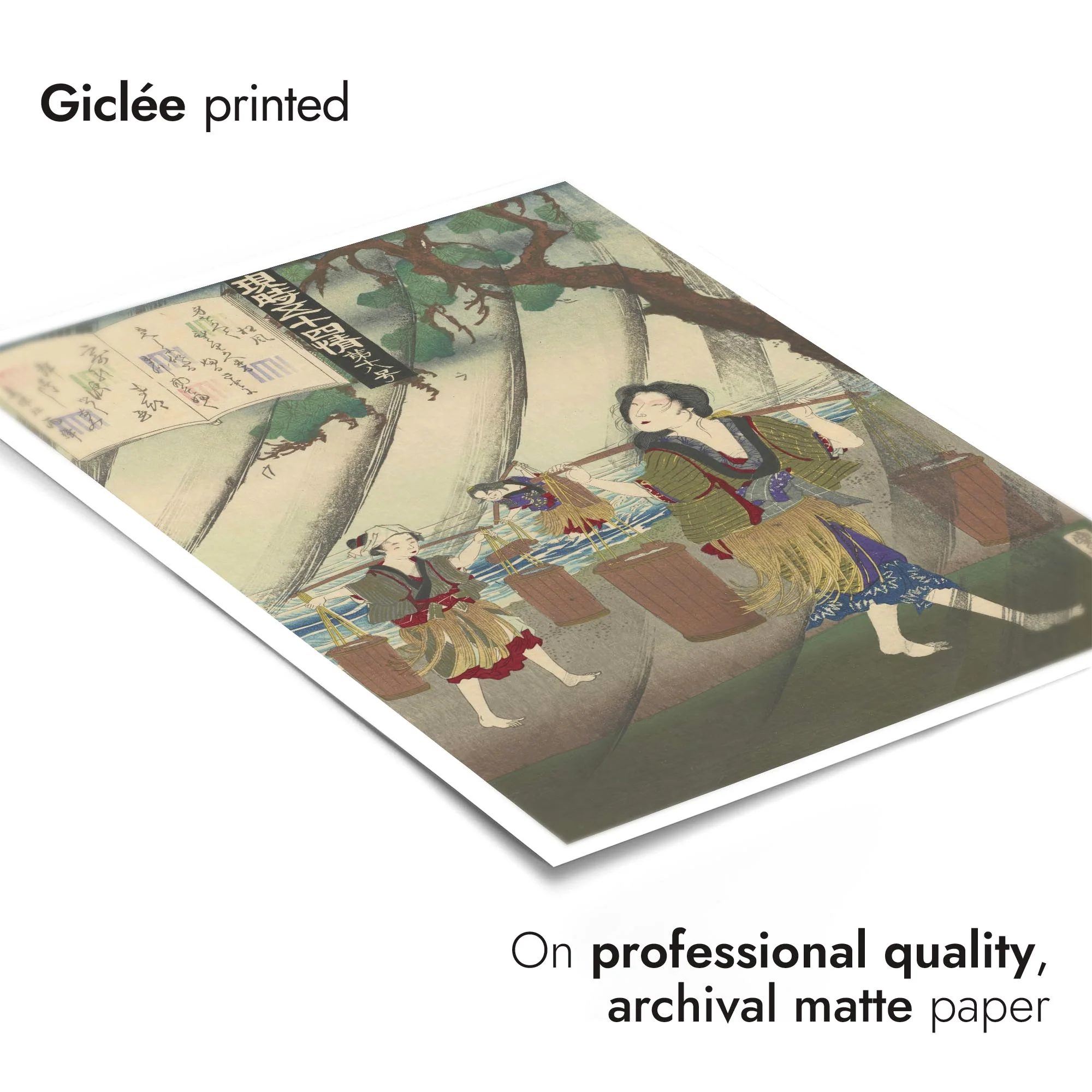 Pine in Winds - Image 6