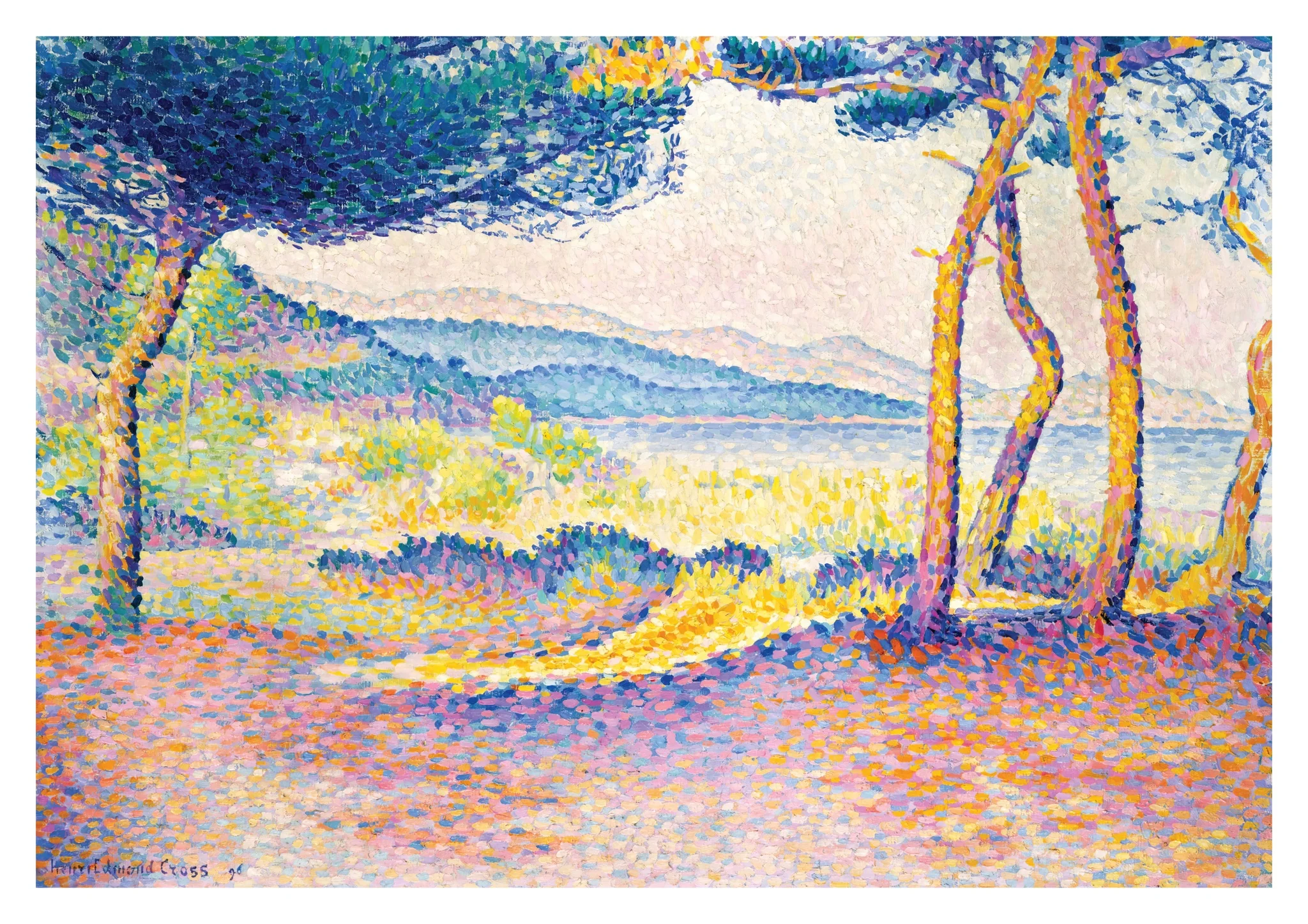 Pines Along the Shore