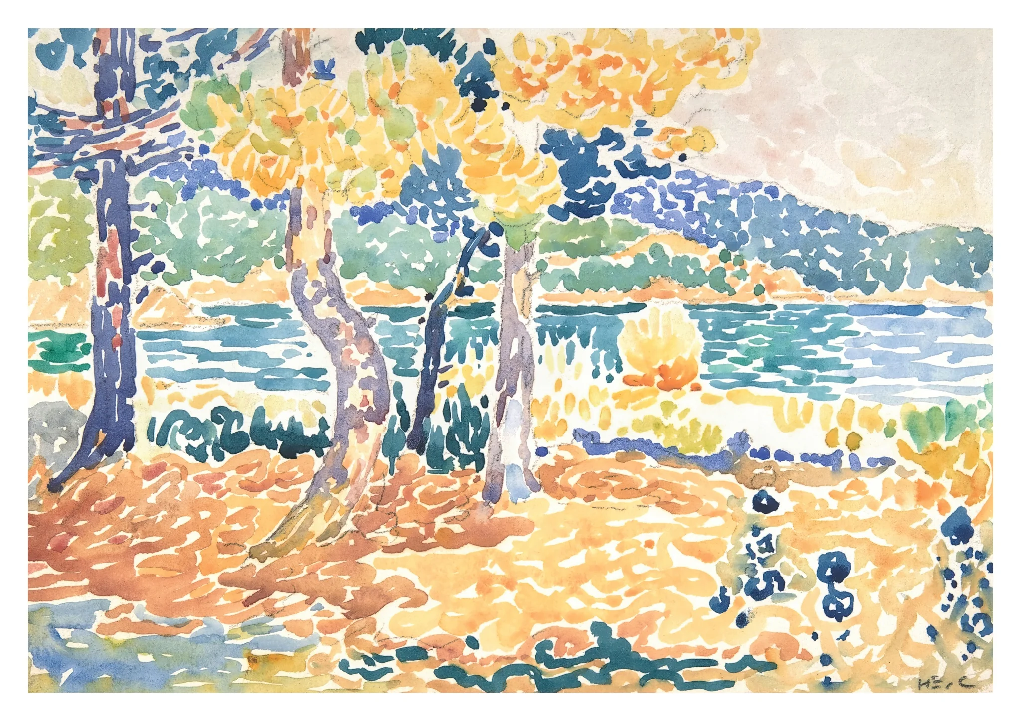 Pines on the Coastline