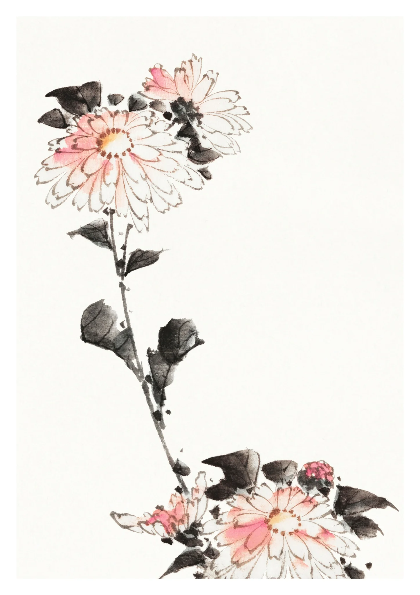 Pink Flower