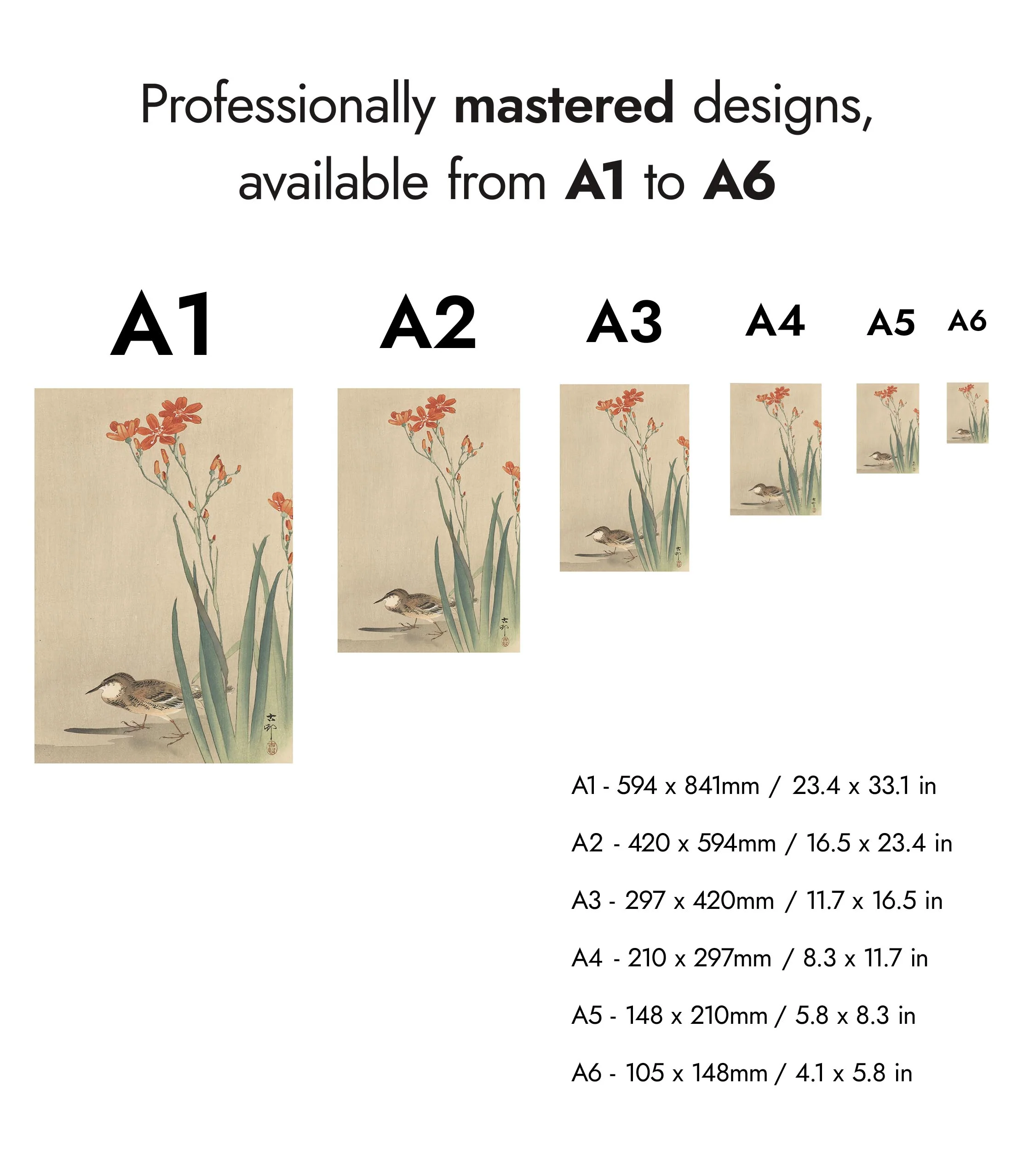 Pipit & Crocosmia Aurea - Image 8
