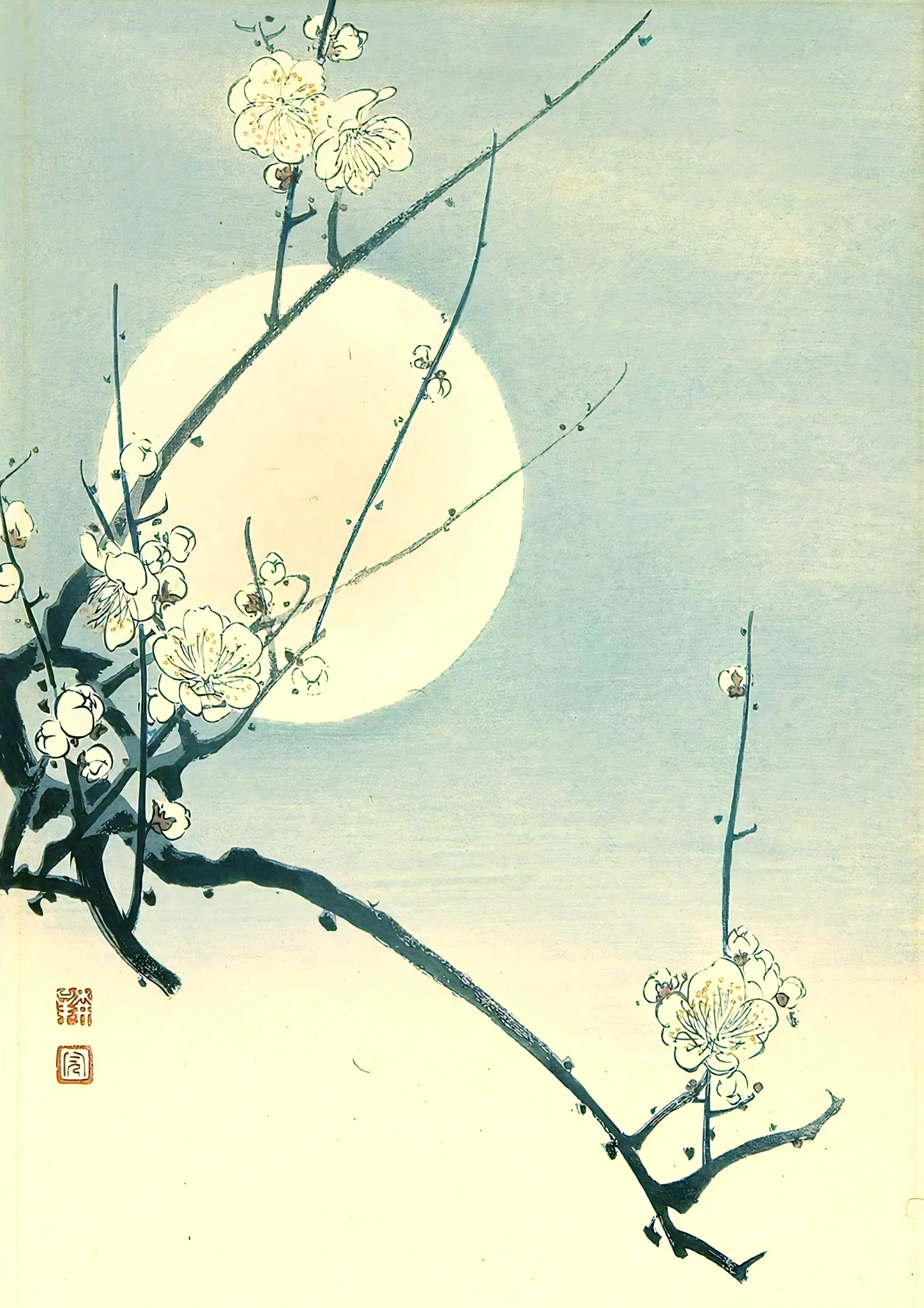 Plum and the Moon