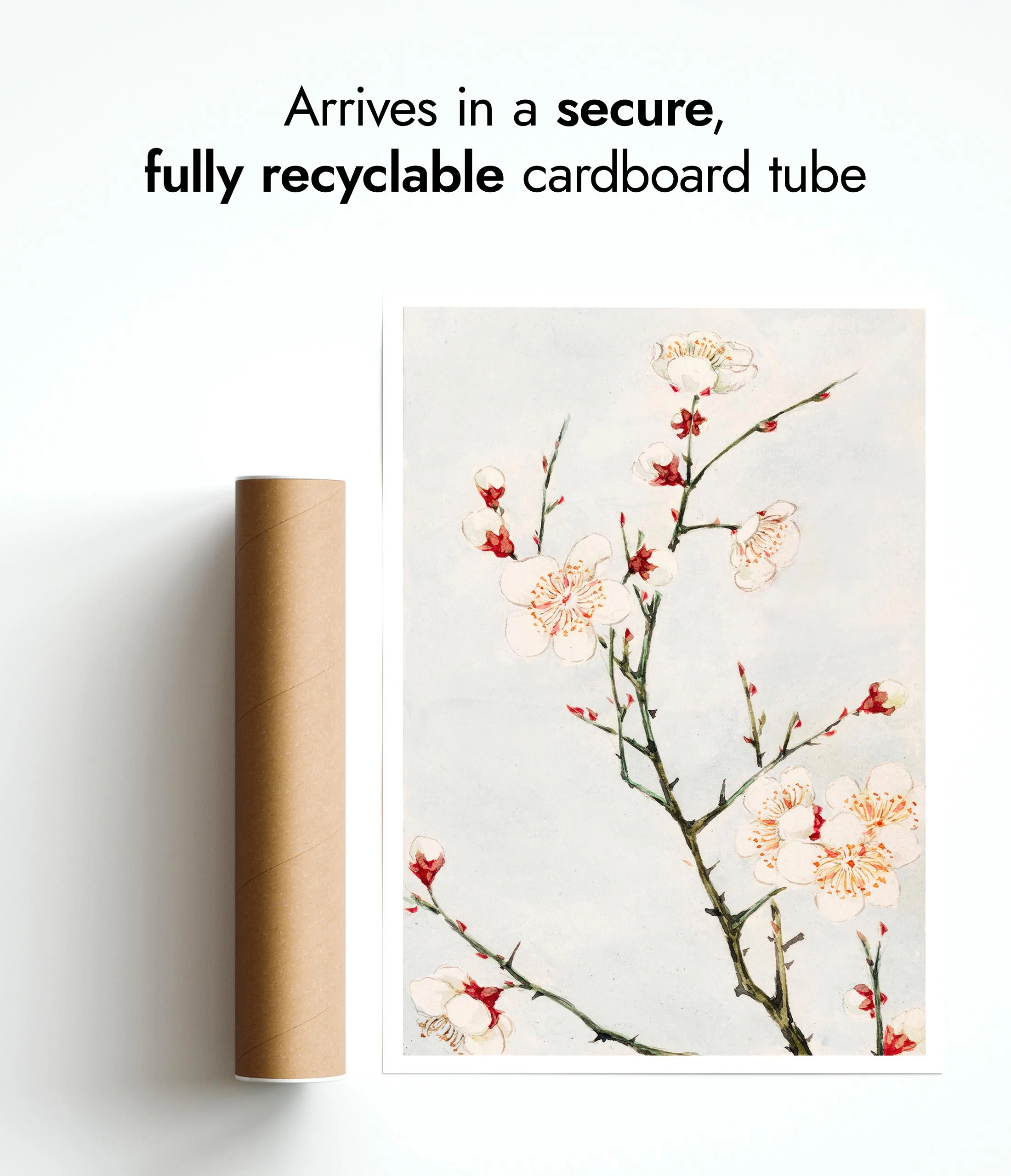 Plum Branch with Blossoms - Image 9