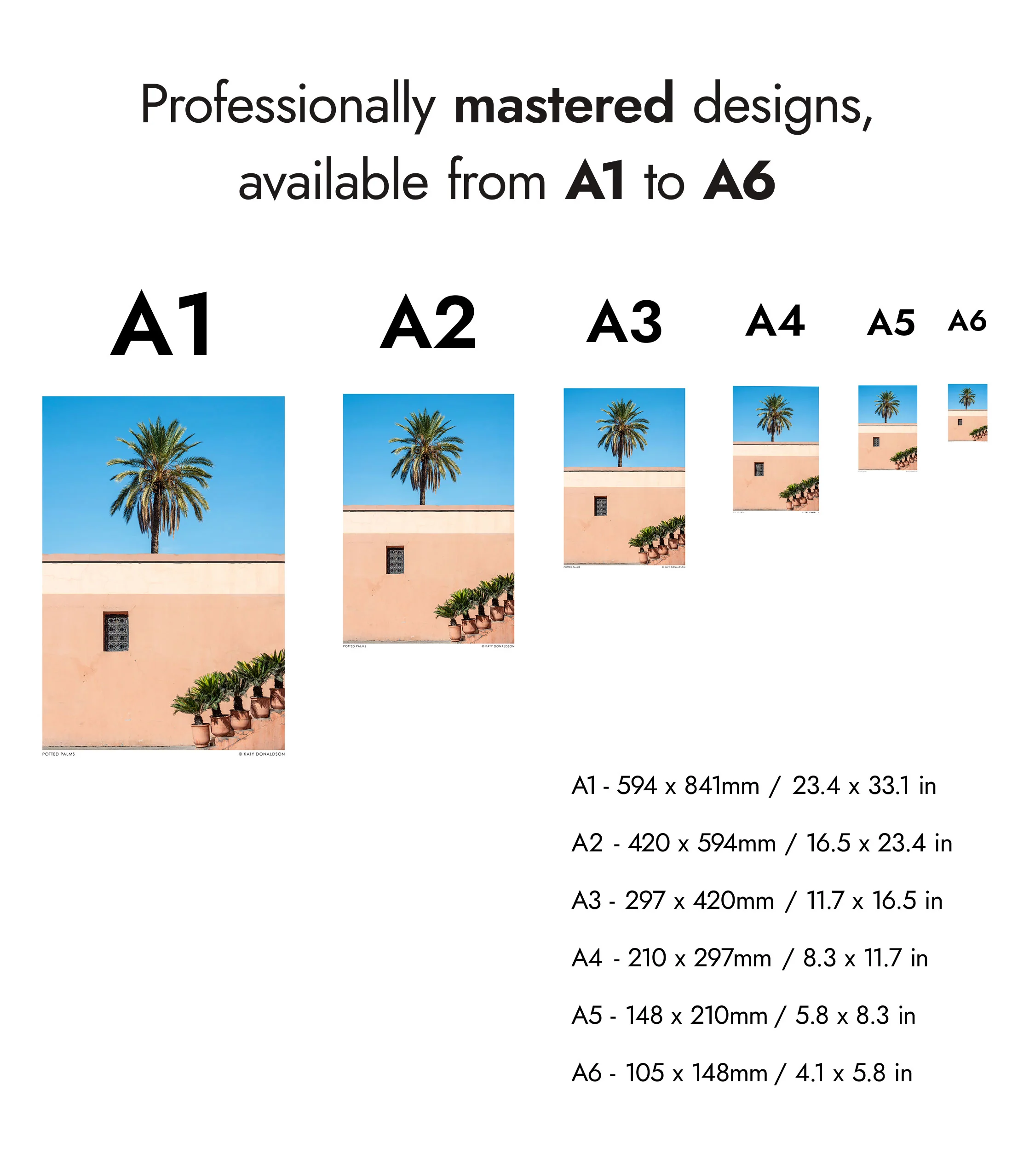 Potted Palms - Image 8
