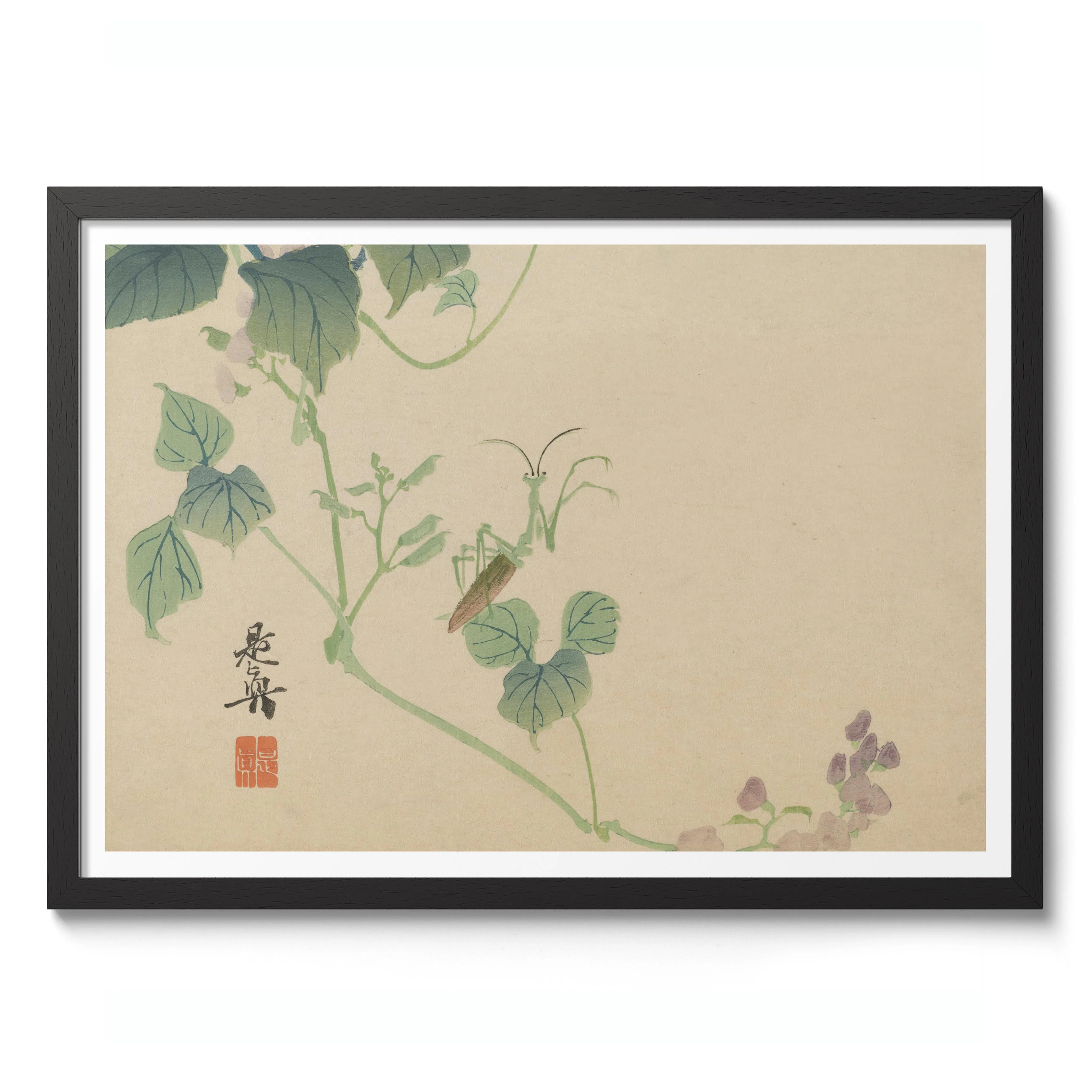 Praying Mantis & Sweet Pea - Image 2