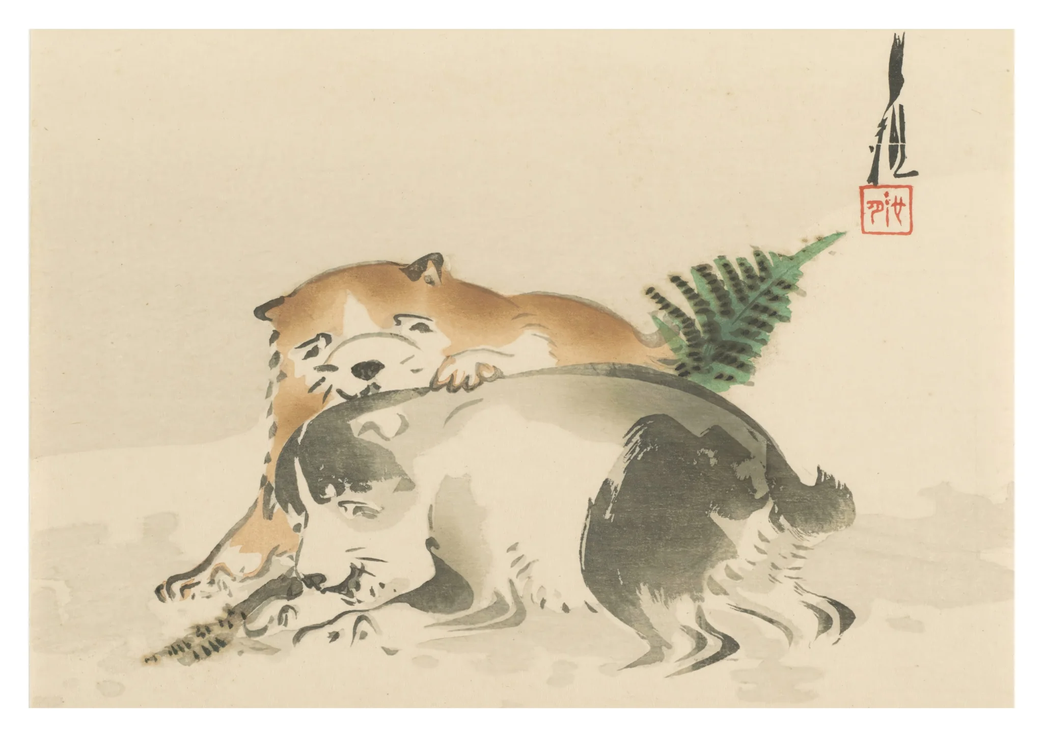 Puppies Playing