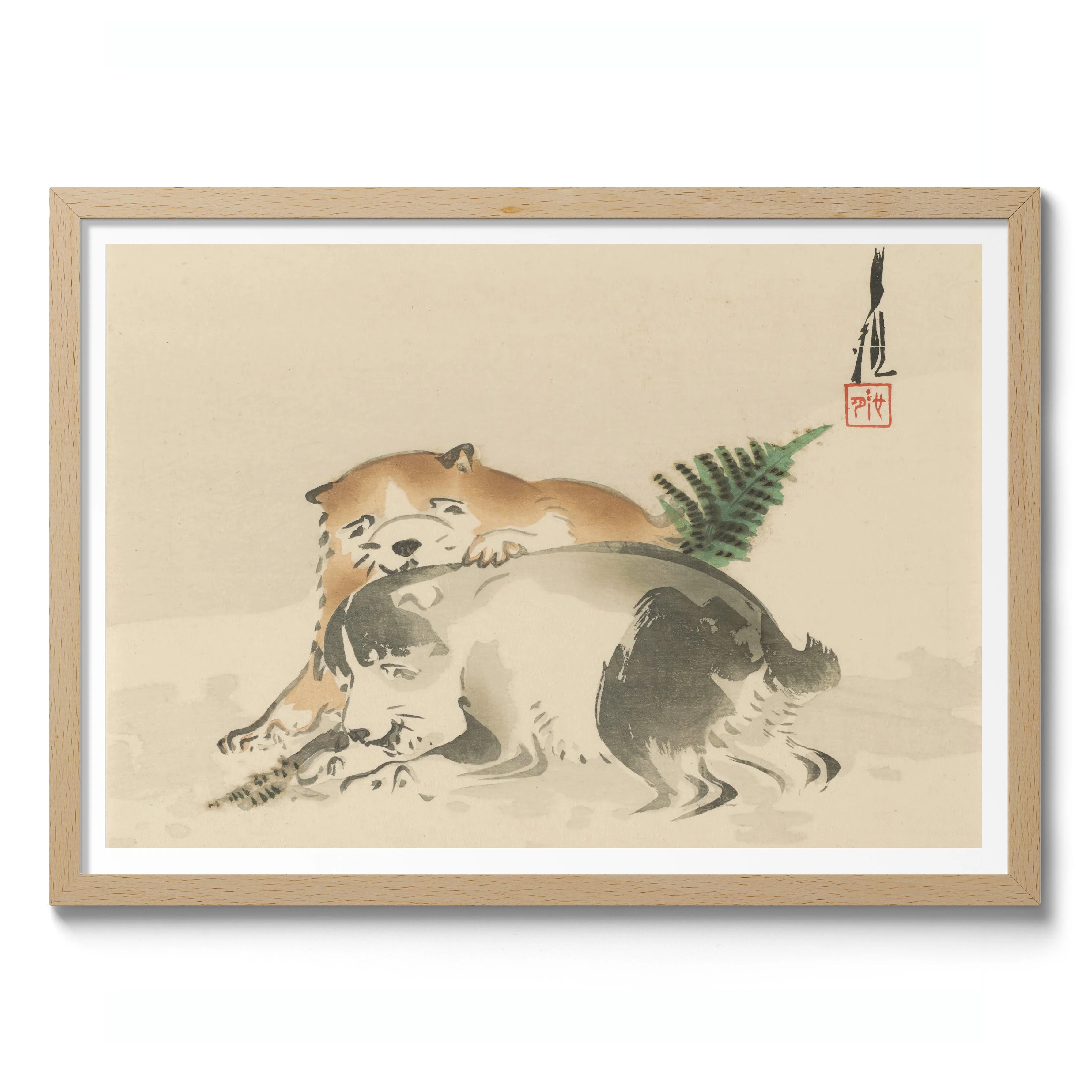 Puppies Playing - Image 3